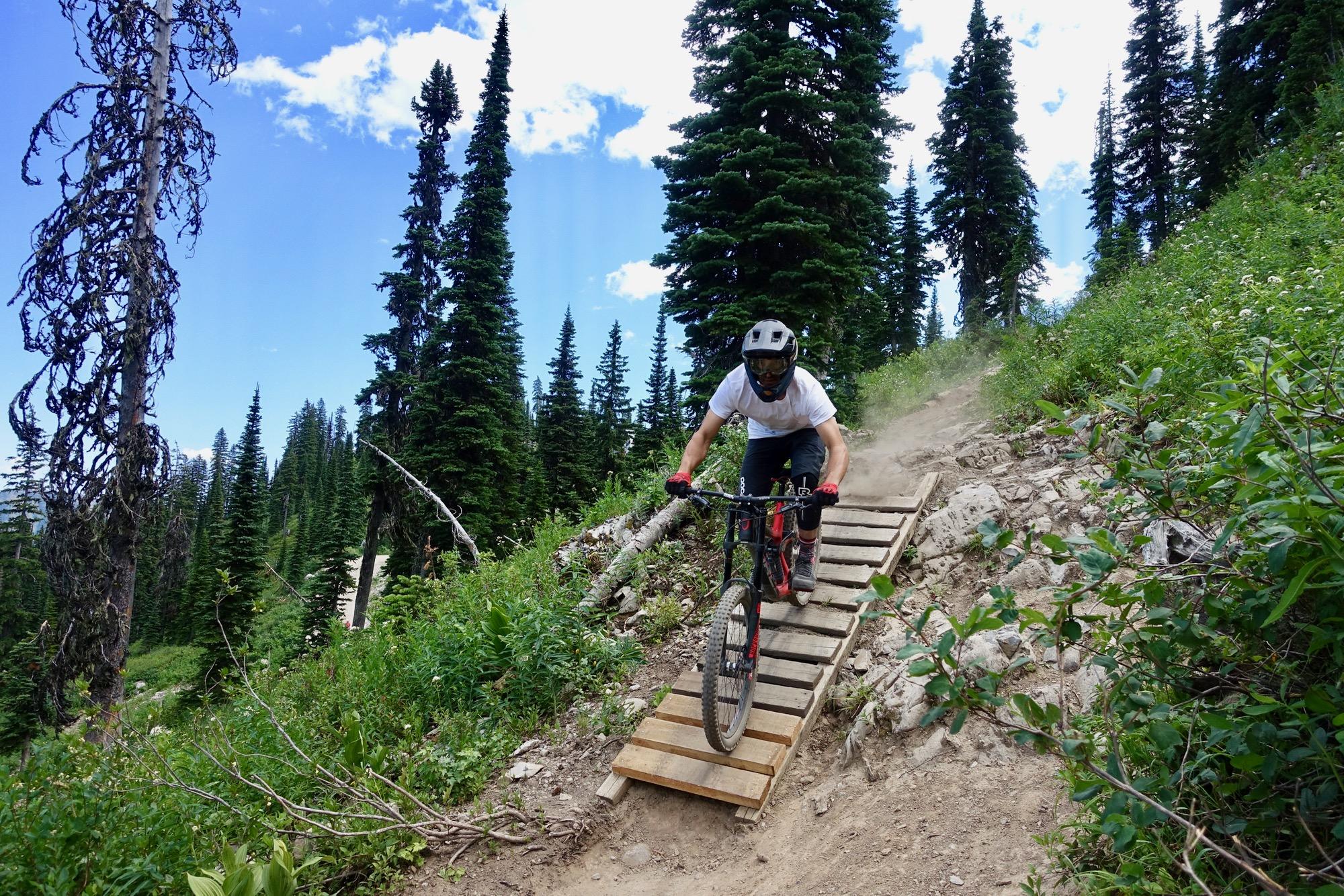 A mountain biker riding down a wooden ramp on a dirt trail, surrounded by tall green pine trees and a clear blue sky, creating a cloud of dust behind. Rumplestumpskin mountain bike trail.