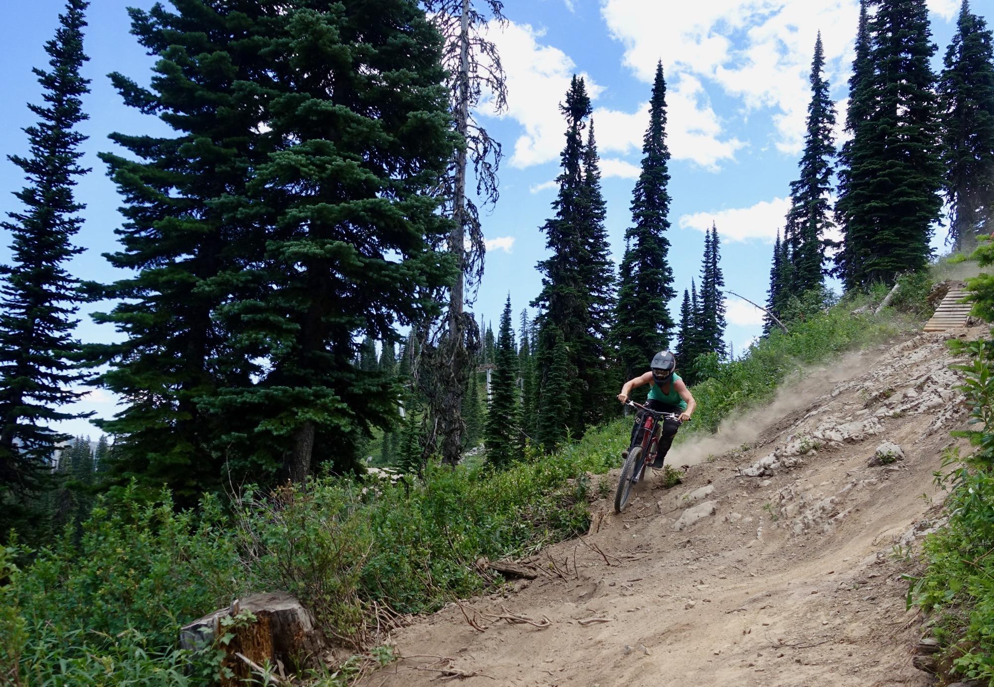A mountain biker navigating a curved dirt trail surrounded by tall evergreen trees, kicking up a cloud of dust as they ride downhill on a sunny day. Rumplestumpskin mountain bike trail.
