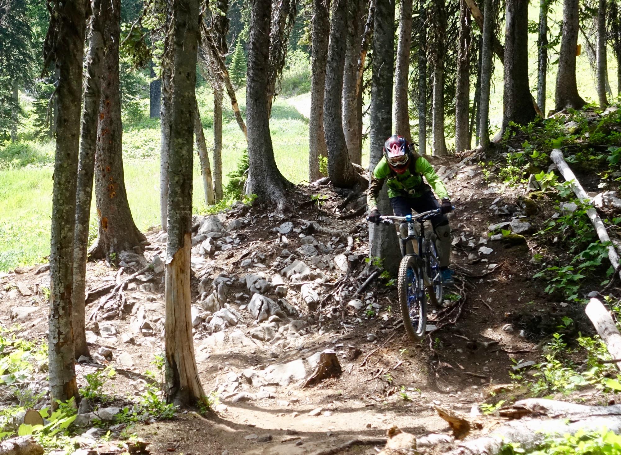 A mountain biker navigates a rocky trail through a dense forest of coniferous trees, surrounded by green foliage and sunlight filtering through the leaves. Rumplestumpskin mountain bike trail.