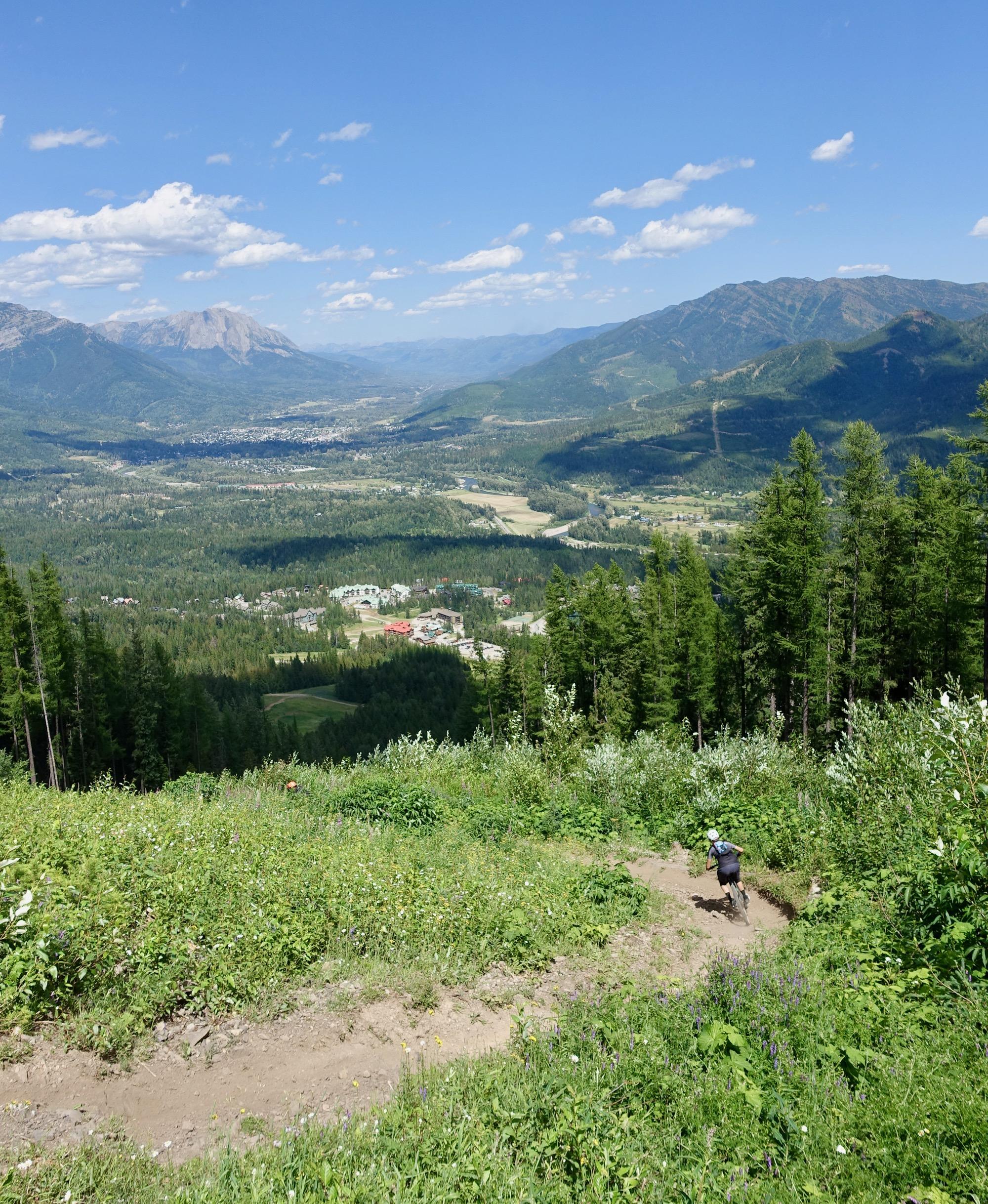 A scenic view from a mountain trail overlooking a valley, with lush green foliage and wildflowers in the foreground. A person is biking down a dirt path, surrounded by trees, with distant mountains and a small town visible below under a clear blue sky filled with fluffy clouds. Rumplestumpskin mountain bike trail.