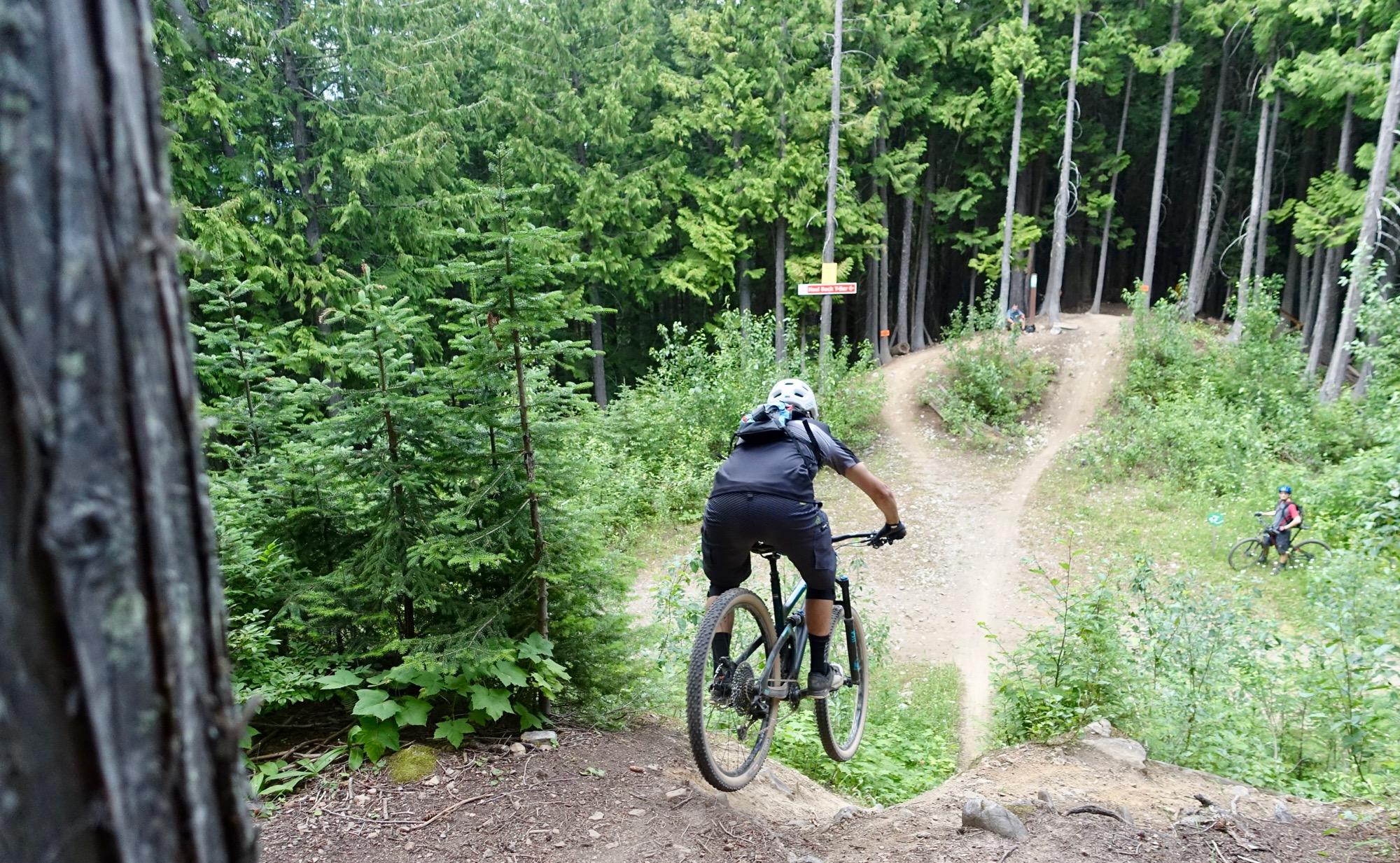 A mountain biker is seen jumping off a small drop on a trail surrounded by tall green trees and dense vegetation. In the background, other cyclists navigate a winding path, with a trail sign visible nearby. The scene captures the excitement of outdoor biking in a lush, natural environment. Mount Fernie Provincial Park mountain bike trail.