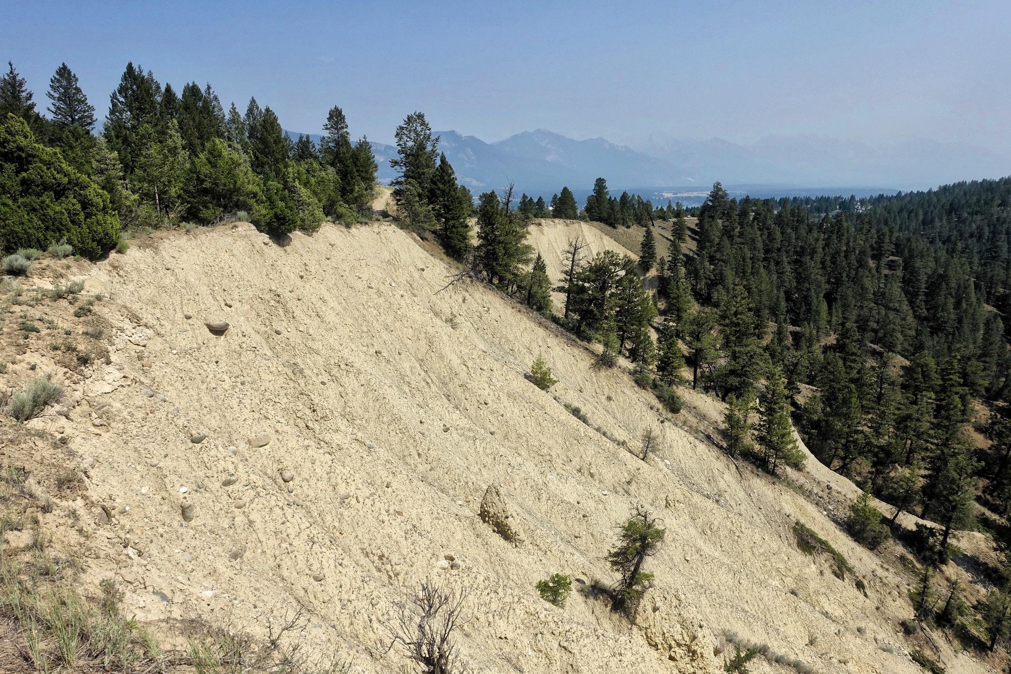 A sloped terrain covered in light-colored soil, interspersed with patches of greenery and pine trees. In the background, rolling mountains fade into the sky. The image captures a rugged natural landscape under a clear blue sky. Lake Lillian mountain bike trail.