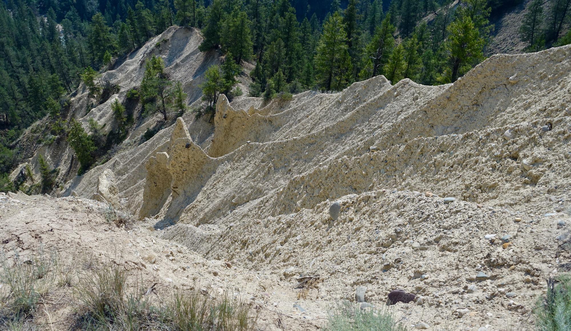 Aerial view of a rugged landscape featuring light-colored, layered earth formations surrounded by green coniferous trees, showcasing a natural erosion pattern. Lake Lillian mountain bike trail.