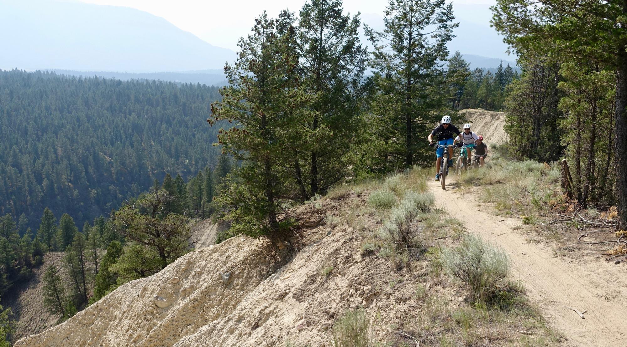 Three mountain bikers riding on a narrow trail through a forested area, surrounded by tall trees and mountainous terrain in the background. The scene captures the thrill of outdoor biking with a clear blue sky above. Lake Lillian mountain bike trail.