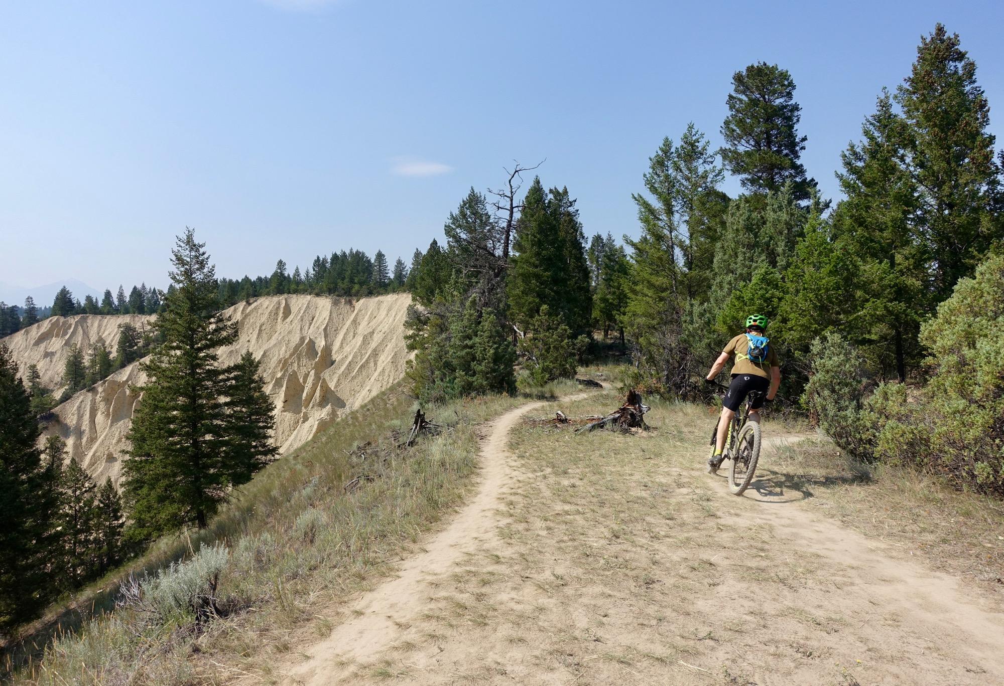 A mountain biker riding along a sandy trail surrounded by greenery, with a backdrop of steep, textured sandy cliffs under a clear blue sky. Lake Lillian mountain bike trail.