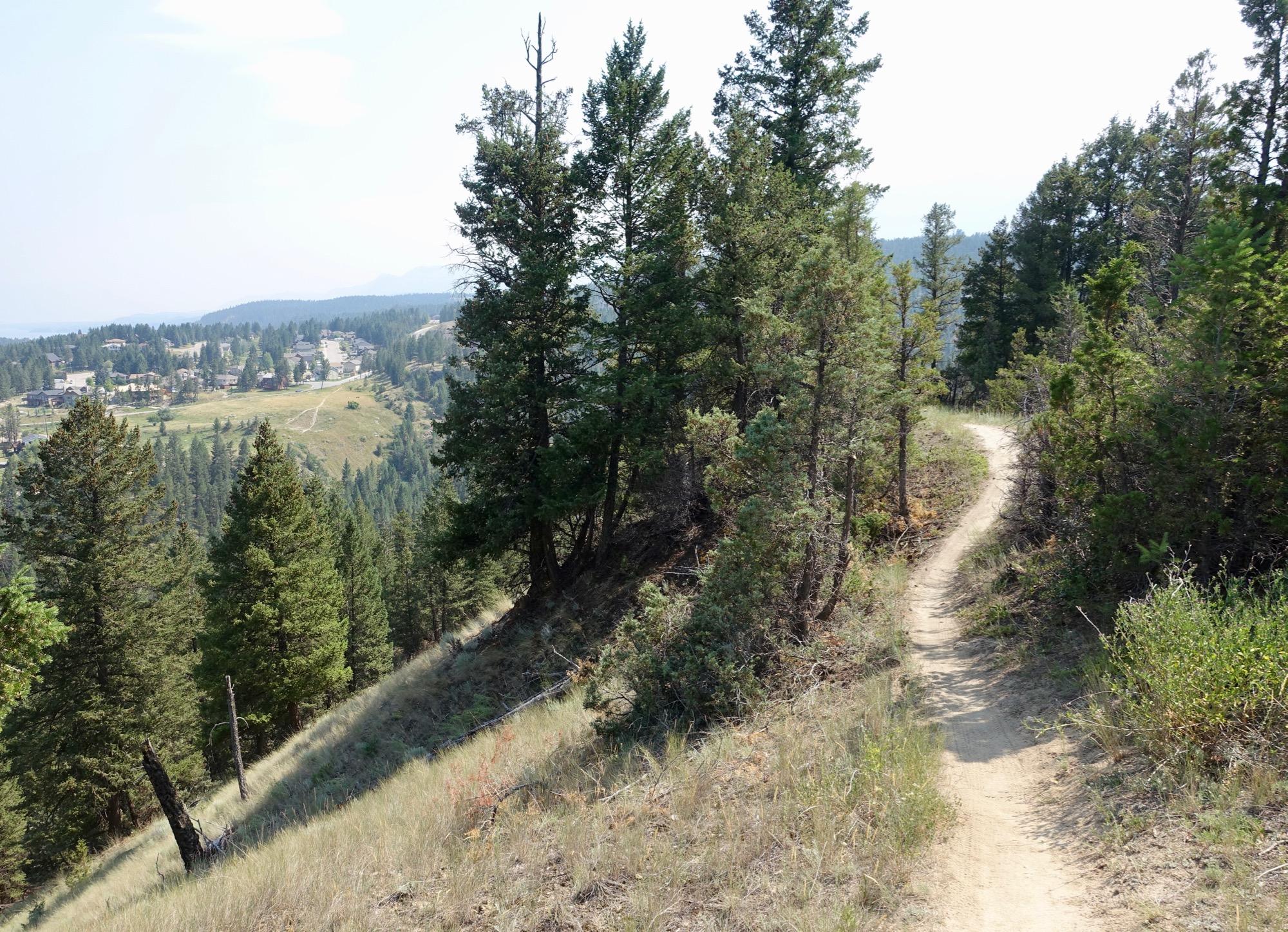 A winding dirt path runs through a forested area, surrounded by tall green trees. In the distance, a small town can be seen nestled in the valley below, with fields and additional tree cover. The landscape is bathed in soft, natural light, highlighting the tranquility of the scene. Lake Lillian mountain bike trail.