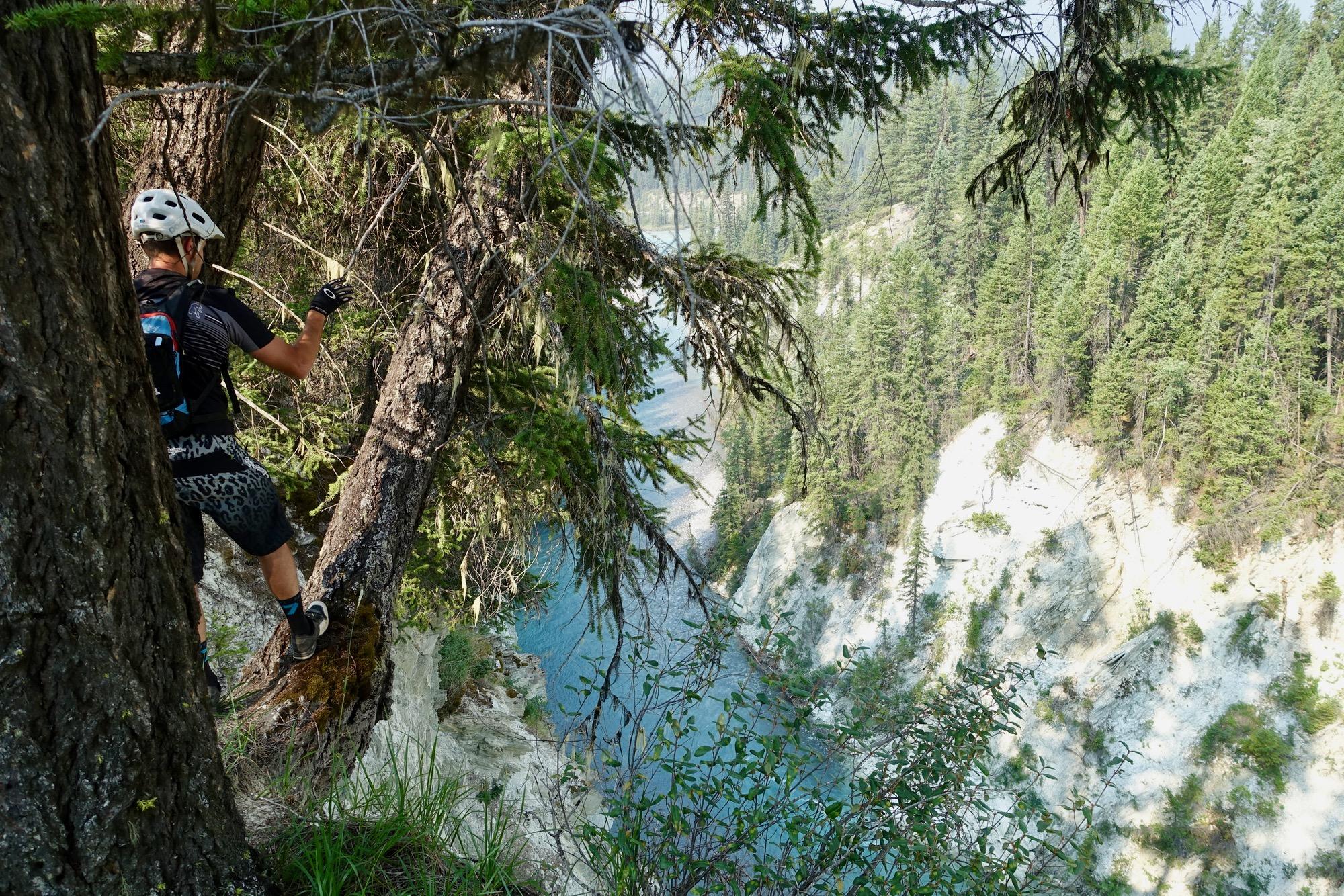 A mountain biker navigates along a narrow ledge on a forested hillside, with a river visible below. The biker is wearing a helmet, gloves, and a backpack, focused on the terrain. The landscape features tall pine trees and rocky cliffs, creating a scenic backdrop. Nipika Mountain Resort mountain bike trail.