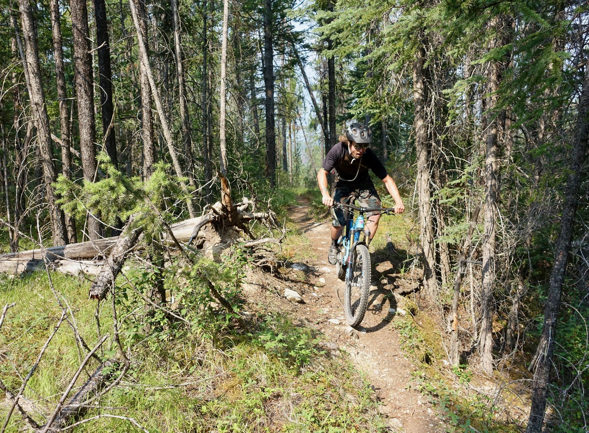 A mountain biker navigates a dirt trail surrounded by tall trees and greenery, showcasing an active outdoor scene. Nipika Mountain Resort mountain bike trail.