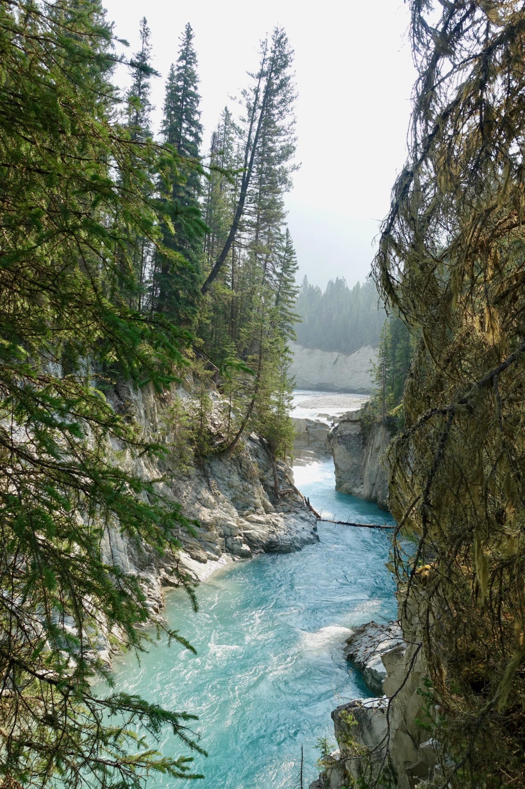 A serene river flows between towering cliffs, surrounded by lush evergreen trees. The water is a vibrant turquoise, contrasting with the gray rock formations. In the background, a misty landscape of mountains is partially obscured, creating a tranquil atmosphere. Nipika Mountain Resort mountain bike trail.