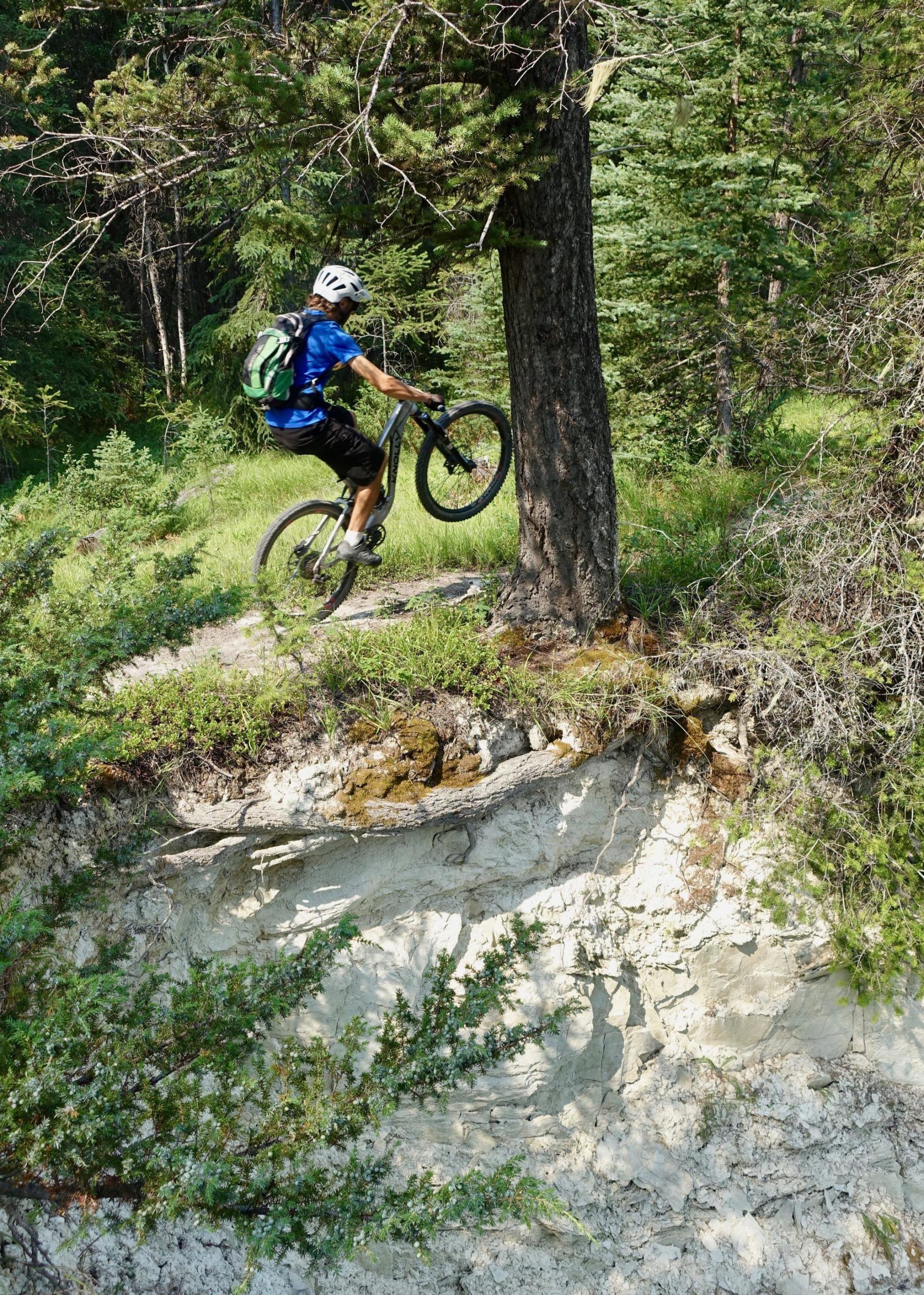 A mountain biker performs a wheelie on a trail beside a tree in a grassy, forested area. The rider is wearing a helmet and a blue shirt, with a green backpack, while the surrounding landscape features lush greenery and rocky terrain. Nipika Mountain Resort mountain bike trail.