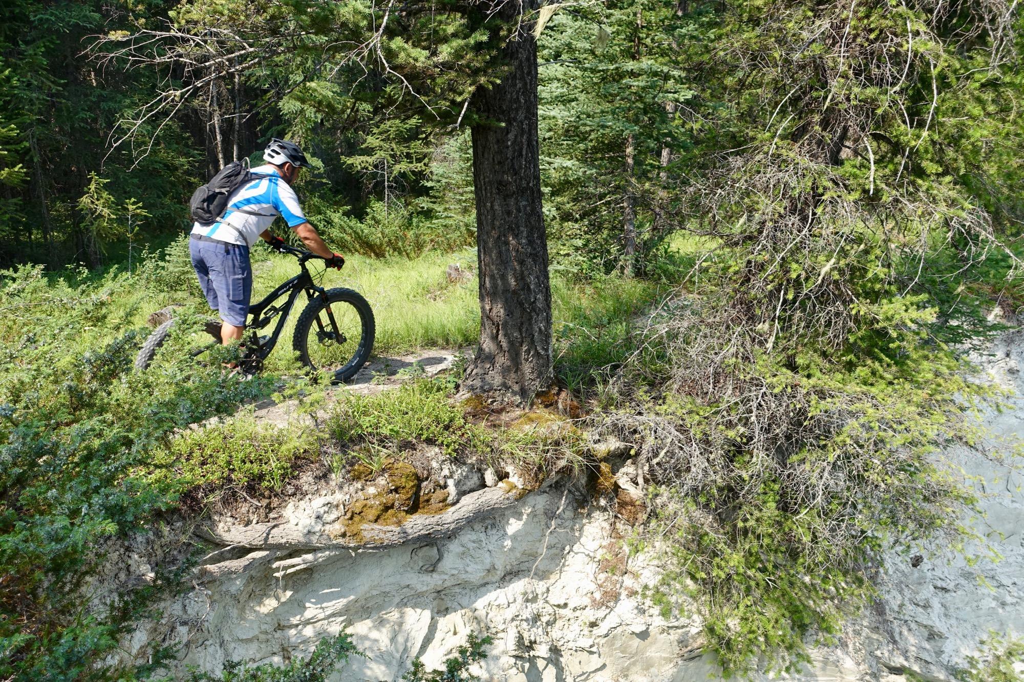 A mountain biker navigating a narrow trail alongside a tree, with lush green foliage and a rocky cliff in the background. Nipika Mountain Resort mountain bike trail.