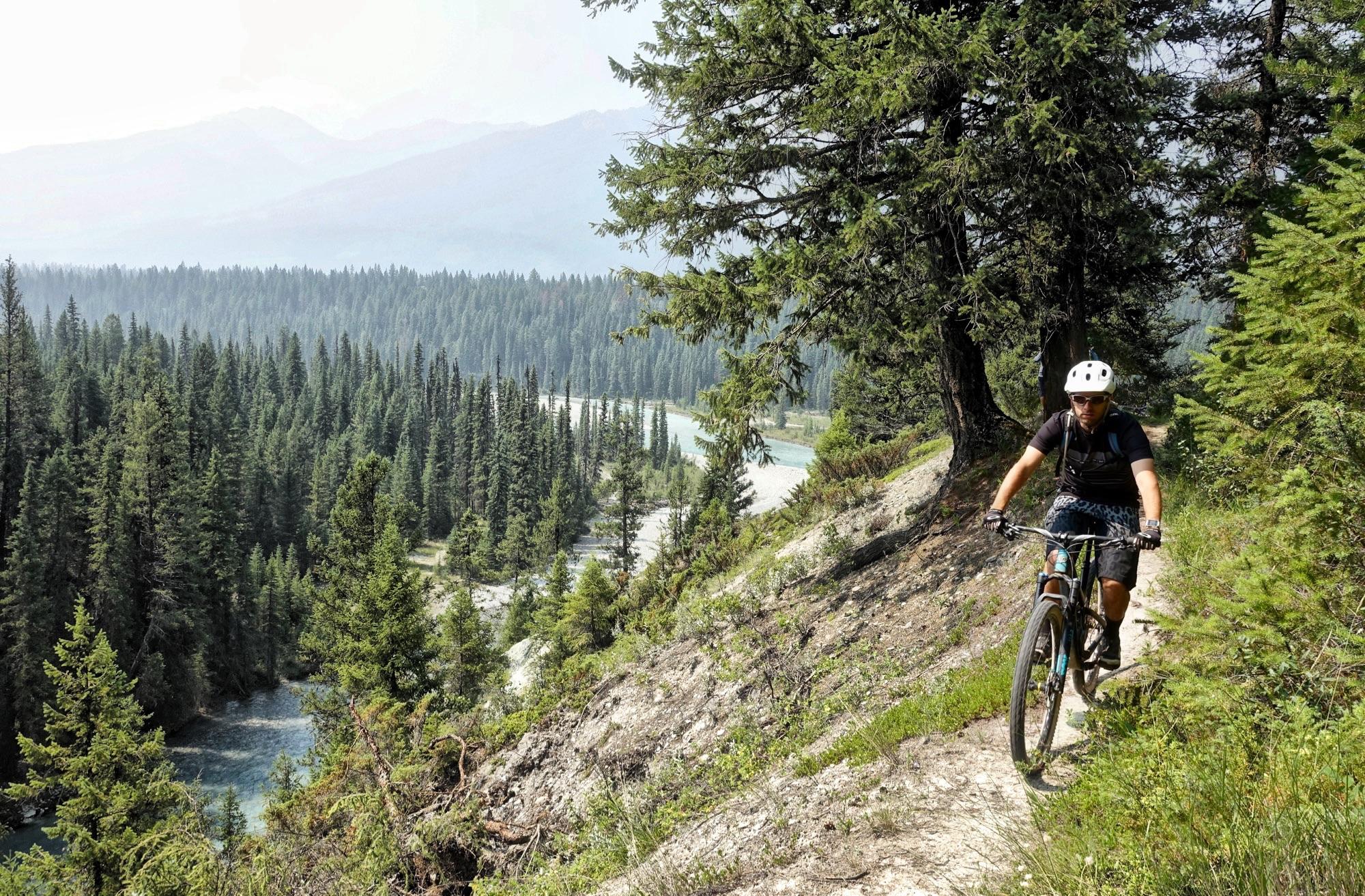 A mountain biker riding along a narrow trail surrounded by dense evergreen trees, with a river and distant mountains visible in the background on a sunny day. Nipika Mountain Resort mountain bike trail.