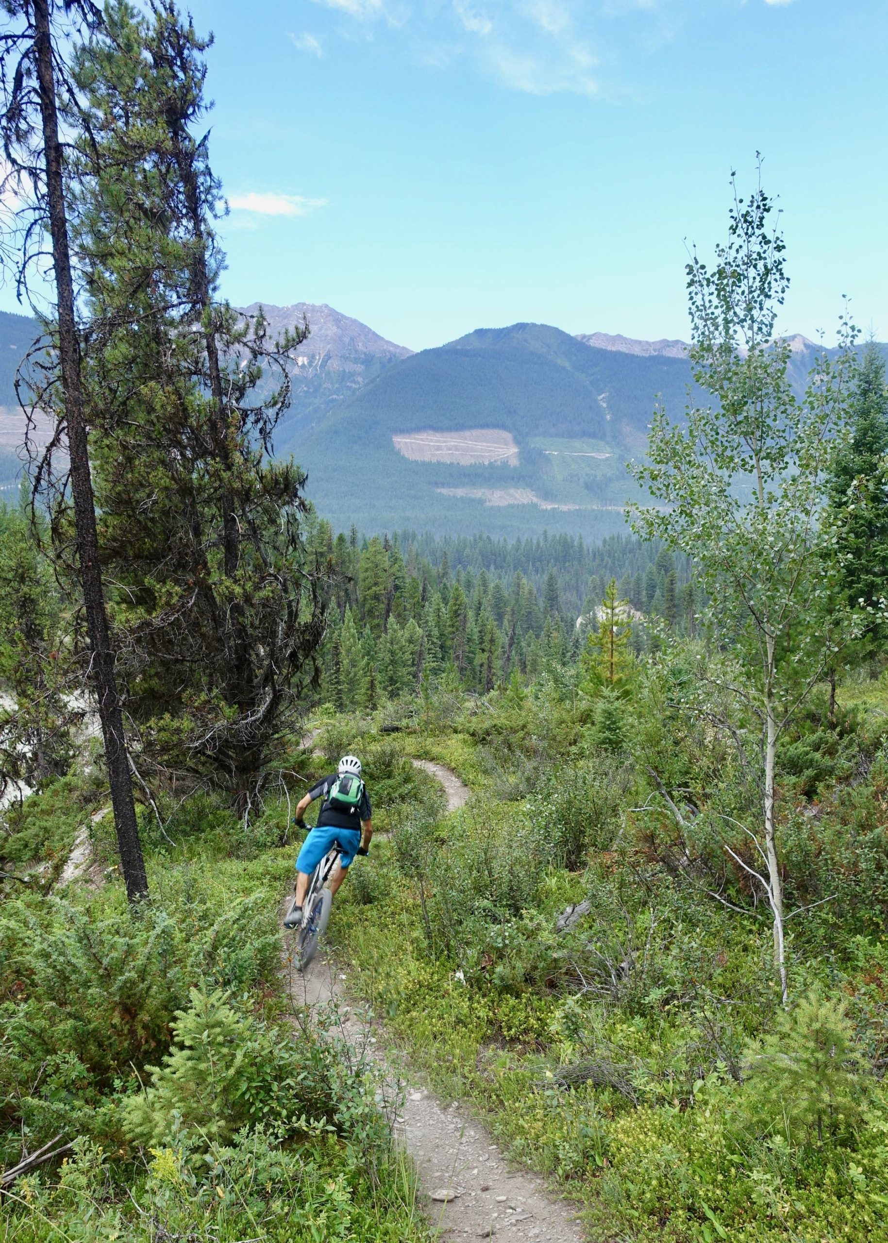 A mountain biker navigating a winding trail surrounded by lush greenery and tall pine trees, with scenic mountains visible in the background under a partly cloudy sky. Nipika Mountain Resort mountain bike trail.