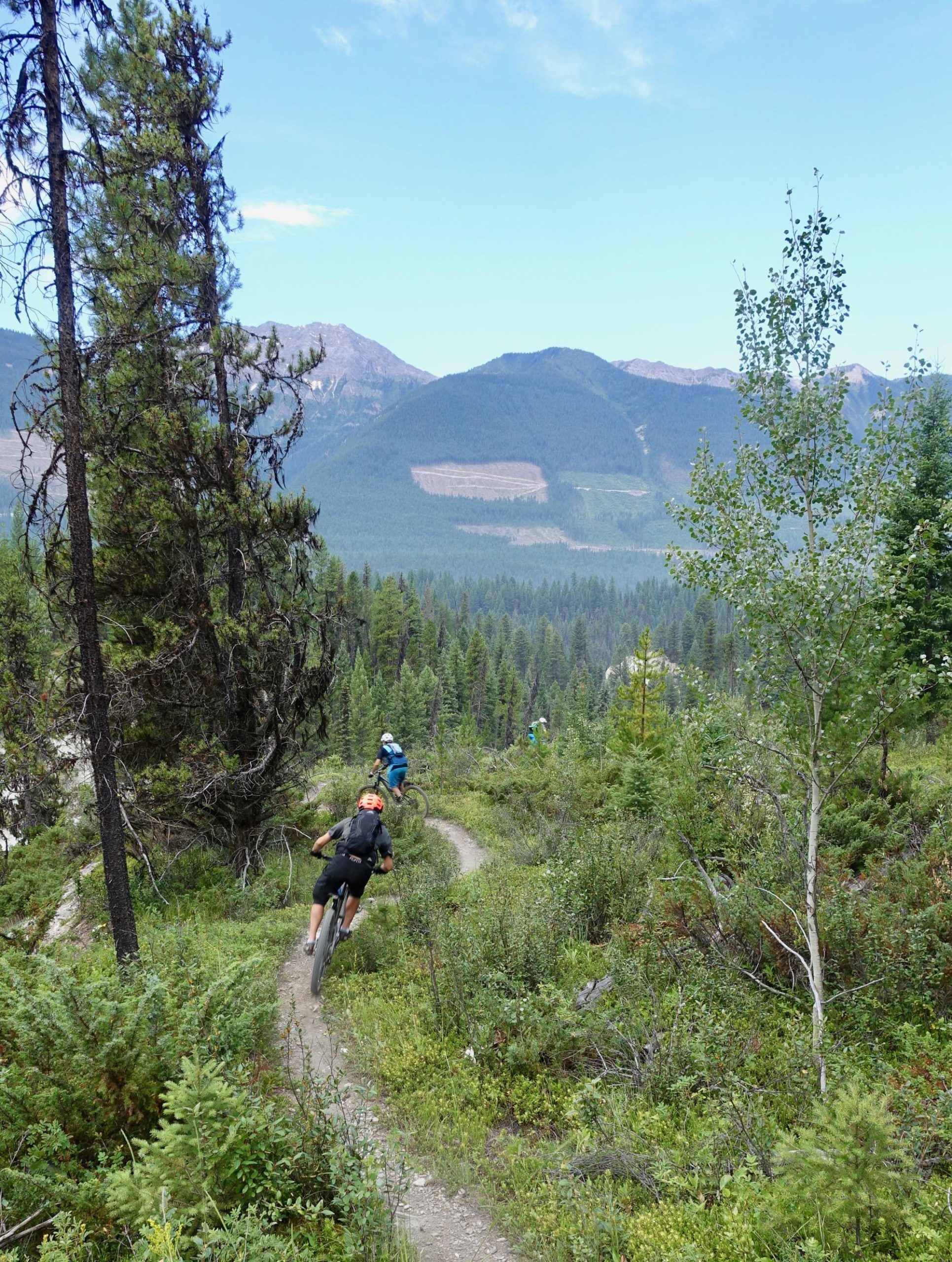 A person riding a mountain bike along a winding trail surrounded by lush greenery and coniferous trees, with distant mountains visible under a partly cloudy sky. Nipika Mountain Resort mountain bike trail.
