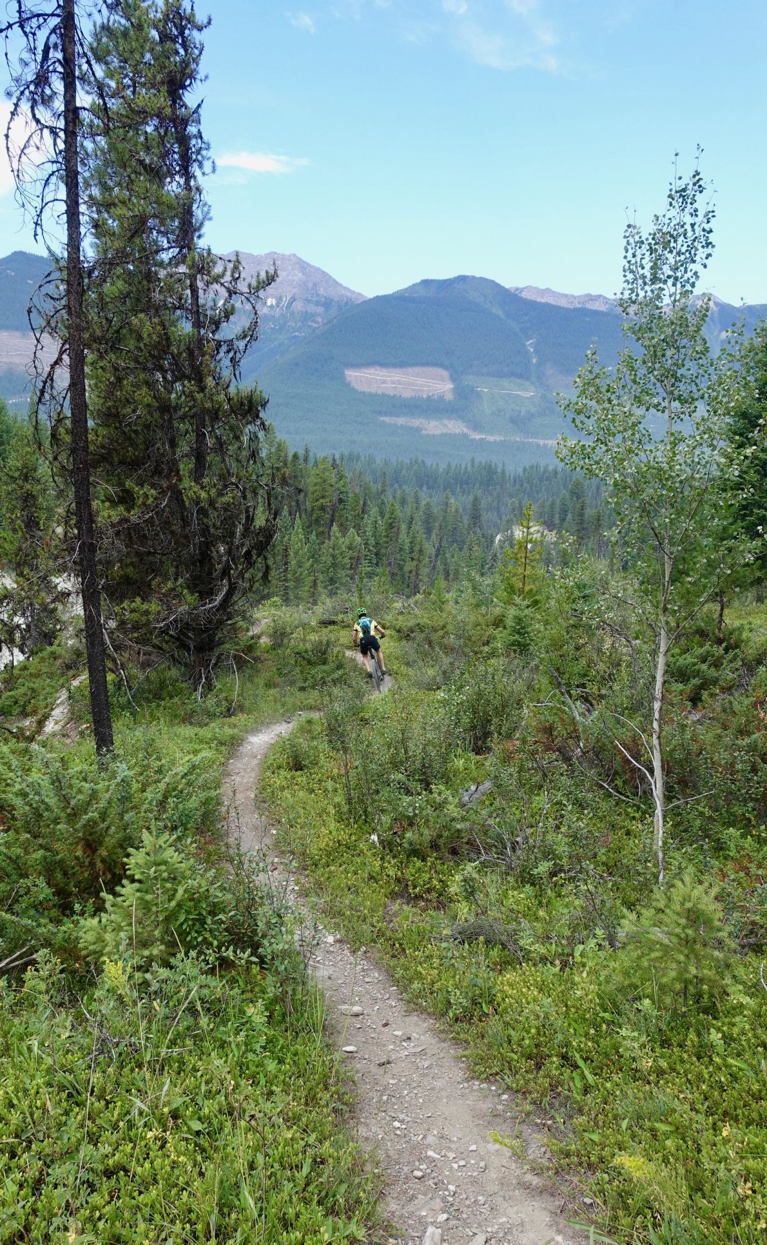 A person riding a mountain bike on a winding dirt trail surrounded by lush greenery, trees, and mountains in the distance under a partially cloudy sky. Nipika Mountain Resort mountain bike trail.