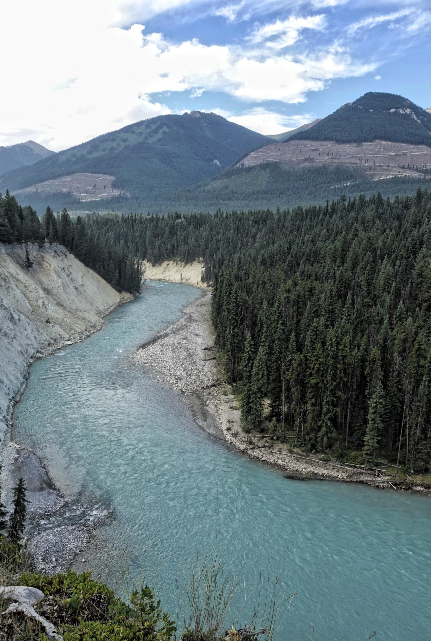 A winding river flows through a lush landscape, surrounded by dense evergreen forests and mountains under a partly cloudy sky. The river has a distinct turquoise hue and is flanked by rocky banks and slopes of light-colored earth. The scenery evokes a sense of tranquility and natural beauty. Nipika Mountain Resort mountain bike trail.