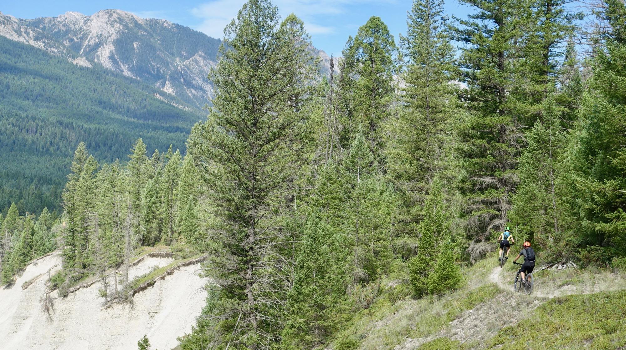 Two mountain bikers riding along a dirt trail through a lush green forest, with mountains in the background under a clear blue sky. The terrain features a mix of trees and sandy slopes. Nipika Mountain Resort mountain bike trail.
