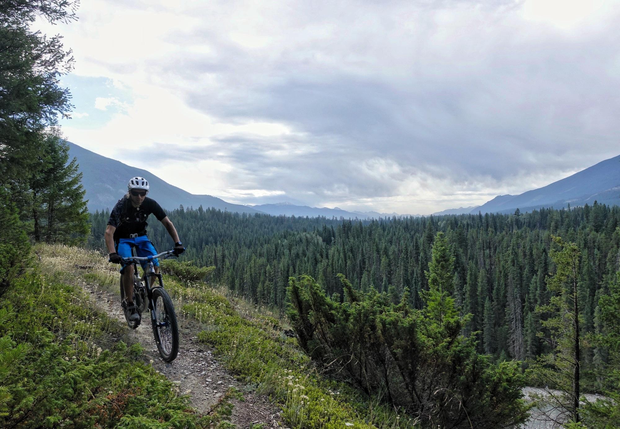 A mountain biker rides along a narrow trail through a lush forest, surrounded by tall pine trees and expansive mountain views under a cloudy sky. Nipika Mountain Resort mountain bike trail.