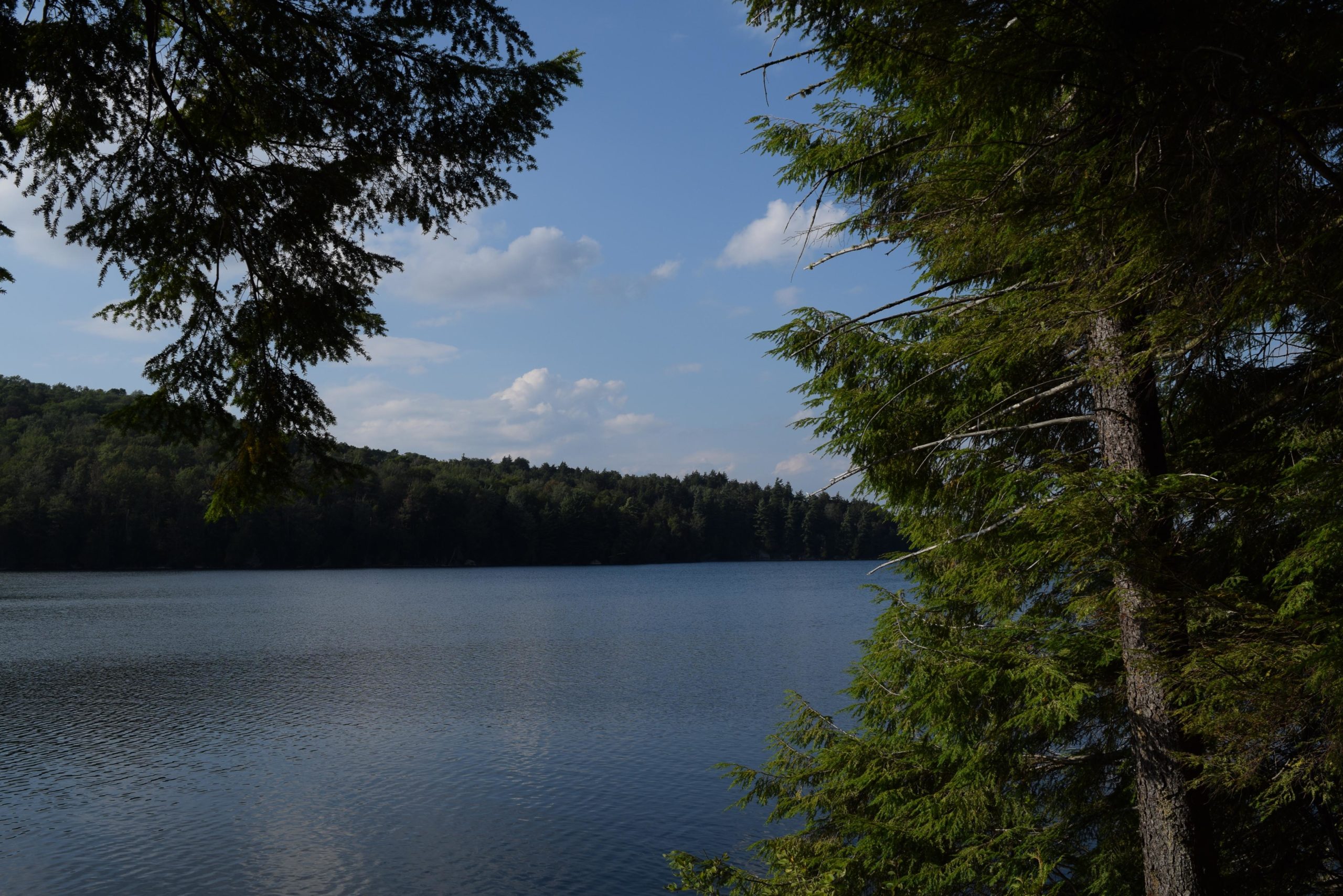 A serene lake view framed by trees under a clear blue sky, with gentle ripples on the water