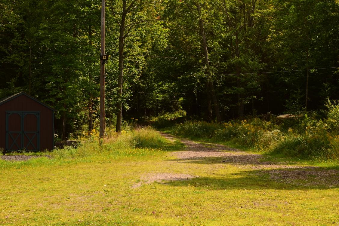 A grassy pathway leads into a wooded area, flanked by trees with lush green foliage. On the left, a small brown shed sits among tall grass and wildflowers, while a power line runs alongside the path. The scene is bright and serene, suggesting a peaceful natural setting. Dewey Mountain mountain bike trail.