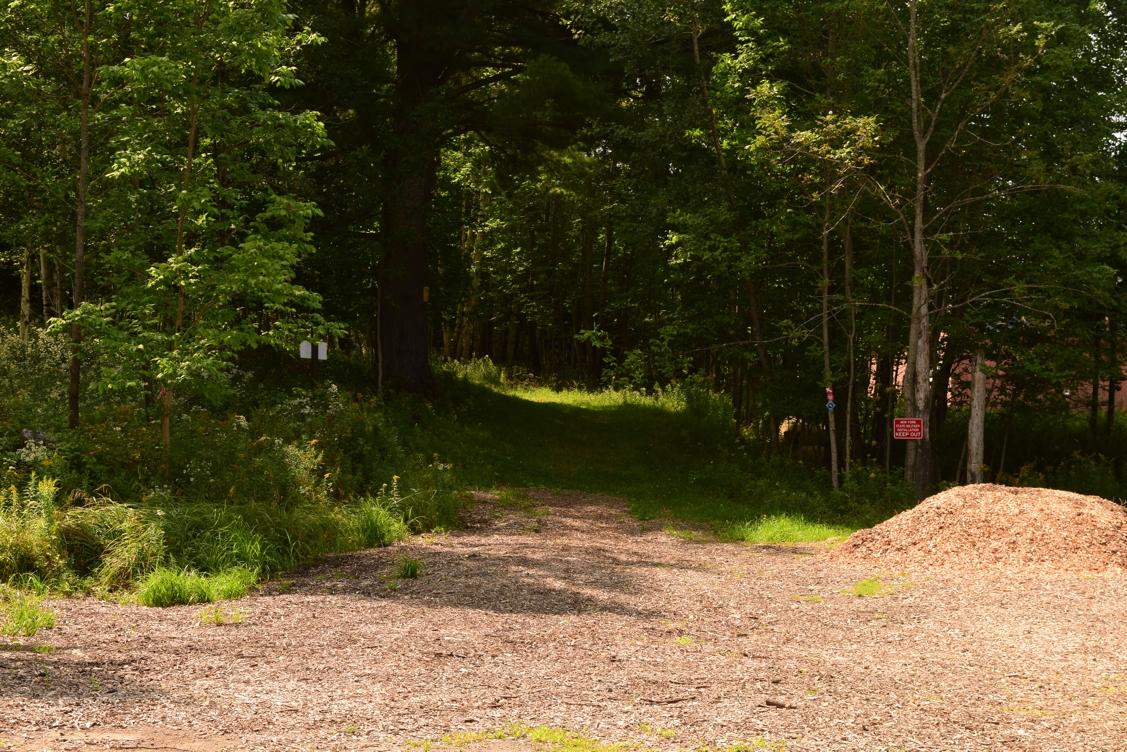 A dirt path leading into a wooded area, surrounded by trees and tall grass. A pile of wood chips is visible on the right side of the image, and there are signs in the background indicating the trail. The scene is bright and sunlit, evoking a peaceful outdoor atmosphere. Dewey Mountain mountain bike trail.