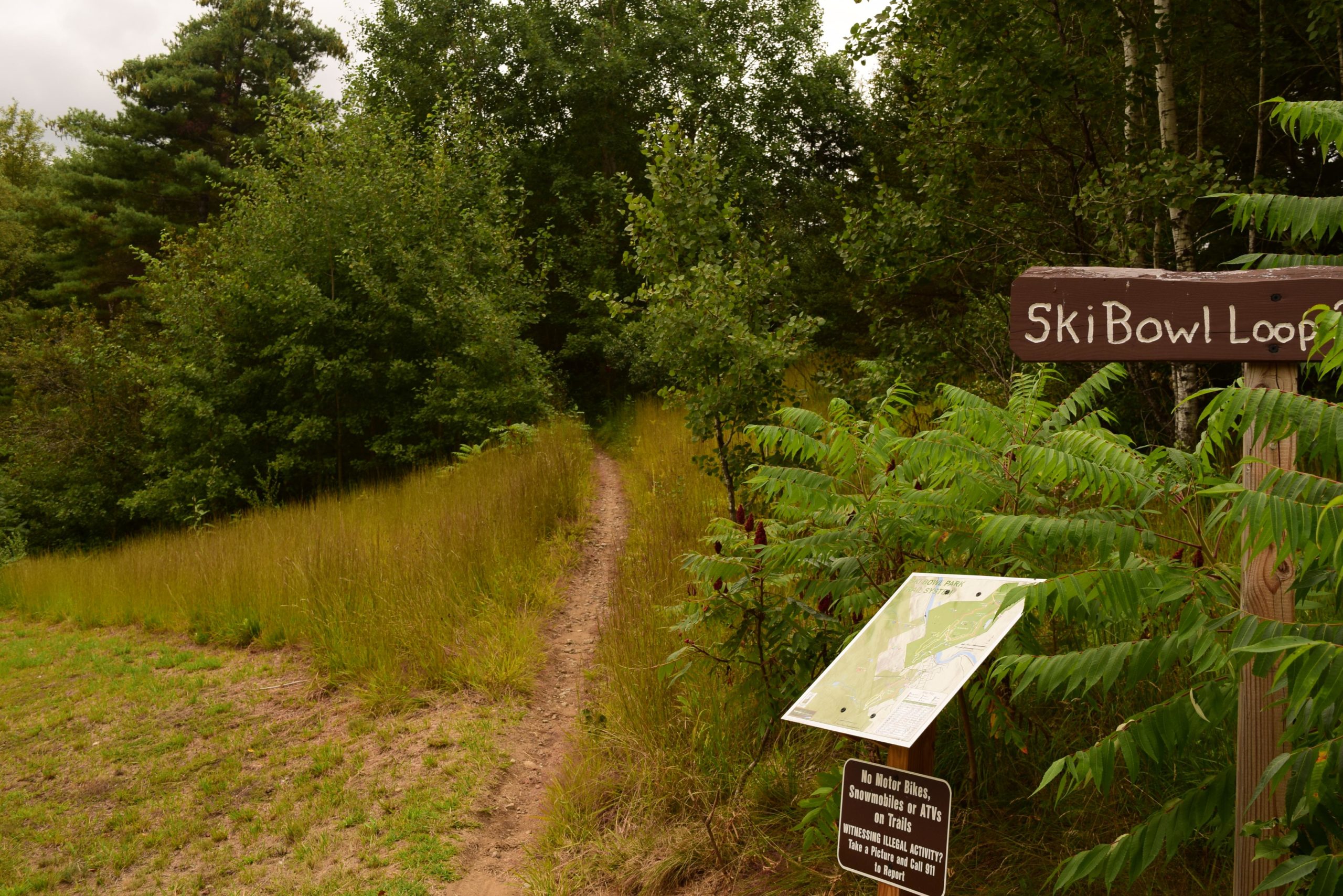A dirt path leading through tall grass and trees, with a wooden sign indicating "SkiBowl Loop" and an informational map displayed nearby. The scene is natural and inviting, surrounded by greenery. Ski Bowl Park Bike Trails mountain bike trail.