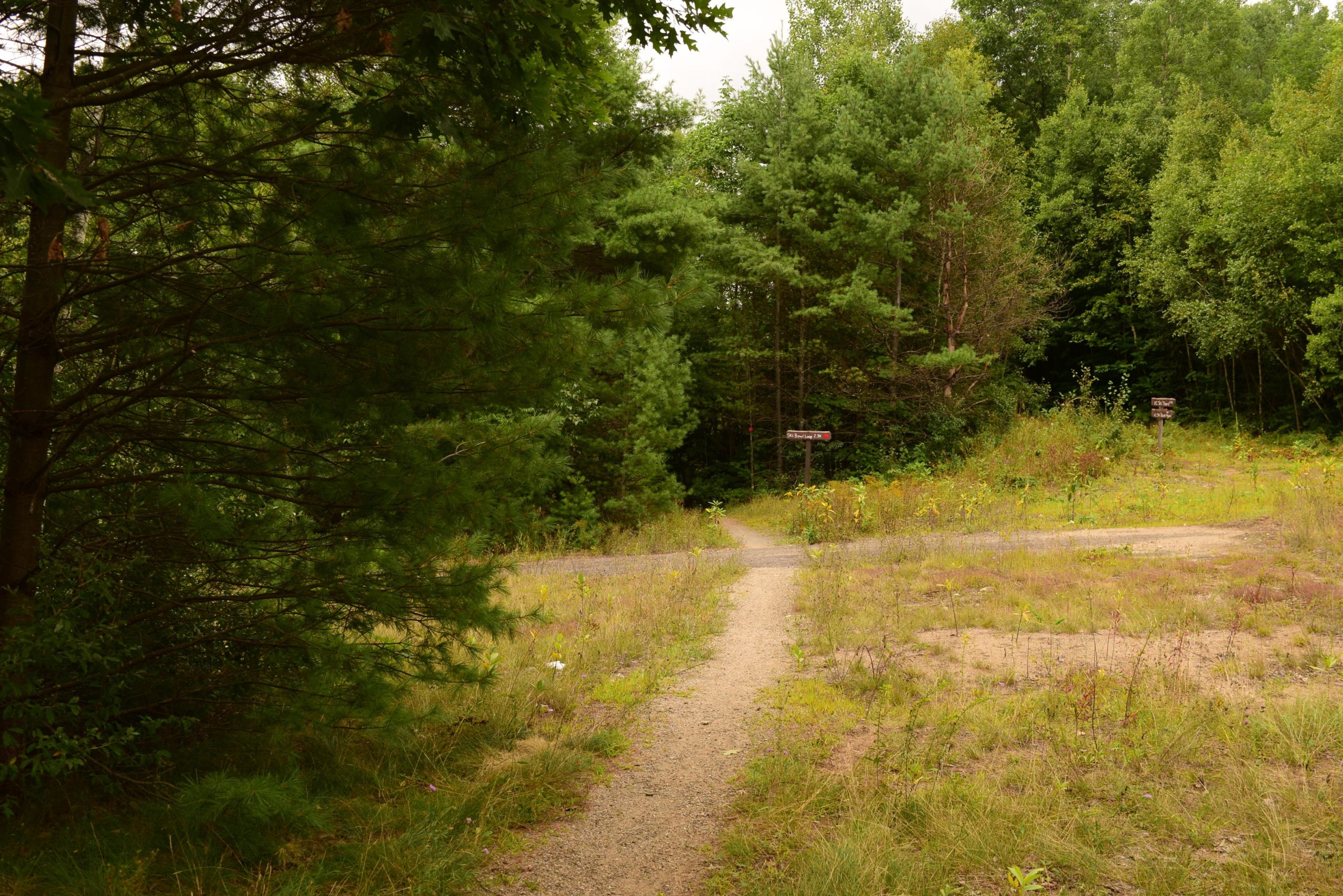 A gravel path leading into a forested area with two signposts indicating different trail directions. Surrounding the path are patches of grass and various plants, with dense trees in the background. The scene is set under an overcast sky. Ski Bowl Park Bike Trails mountain bike trail.