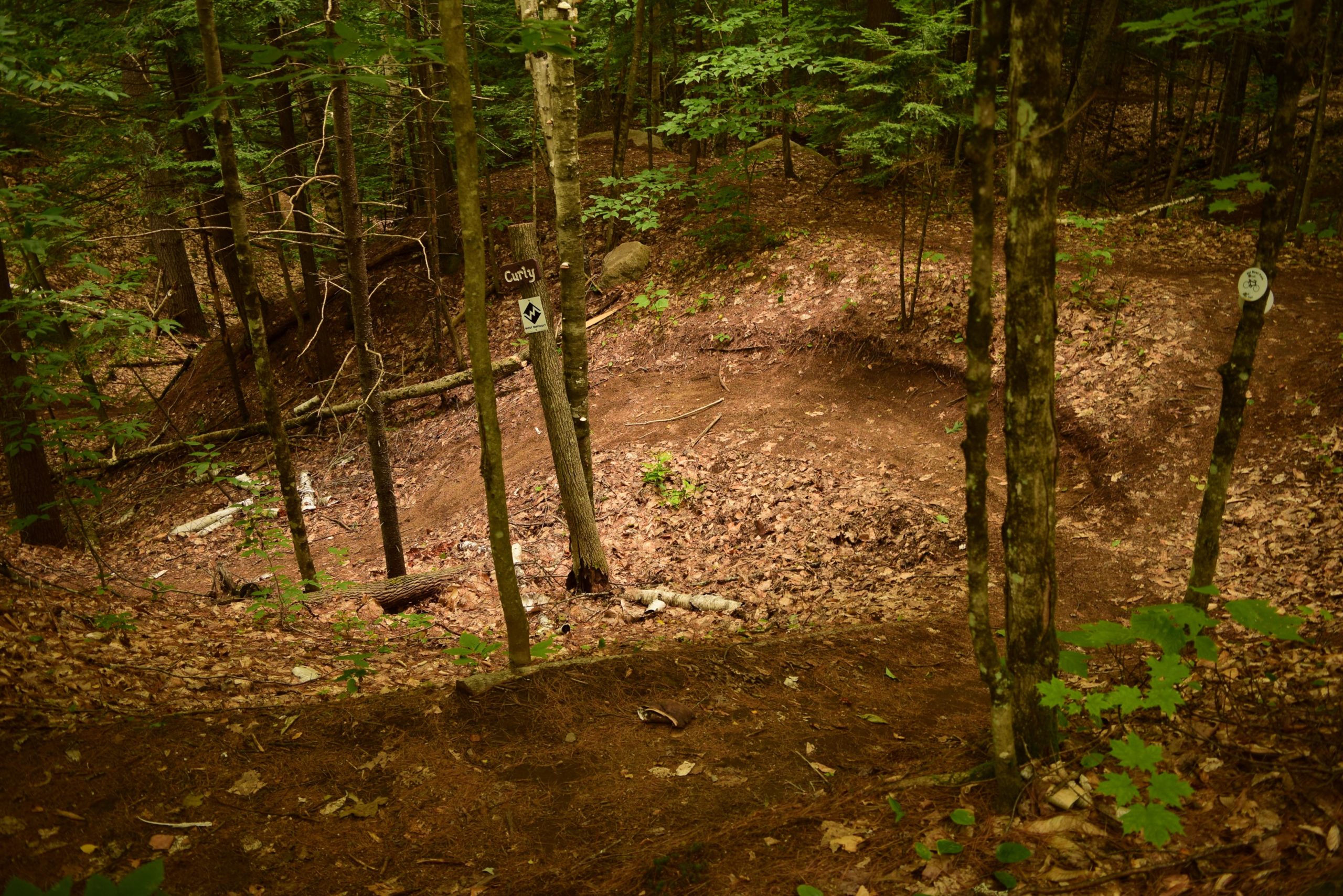 Ski Bowl Park Bike Trails mountain bike trail.