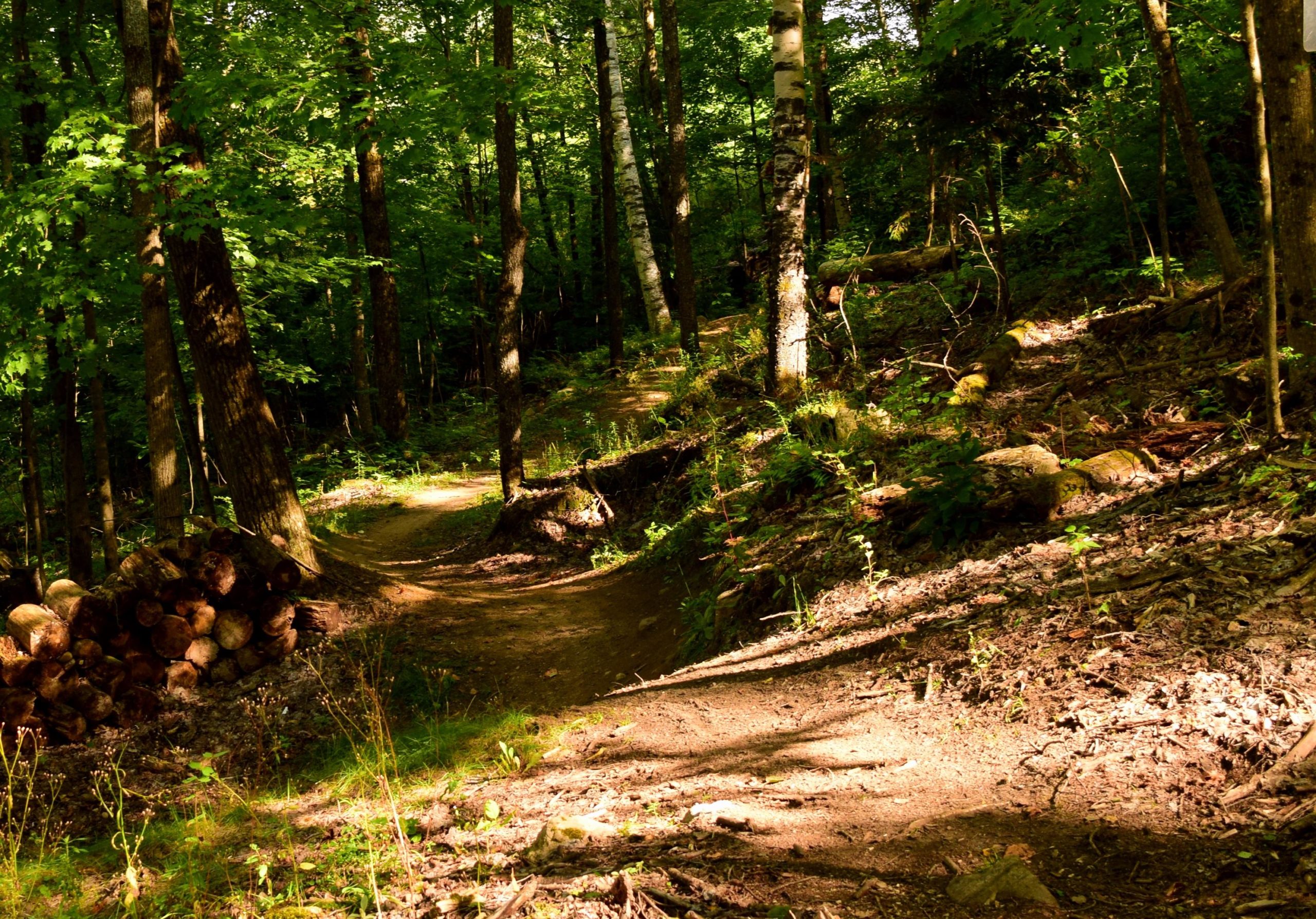 Mount Pisgah ski area Mountain Bike Trail in Saranac Lake, New York