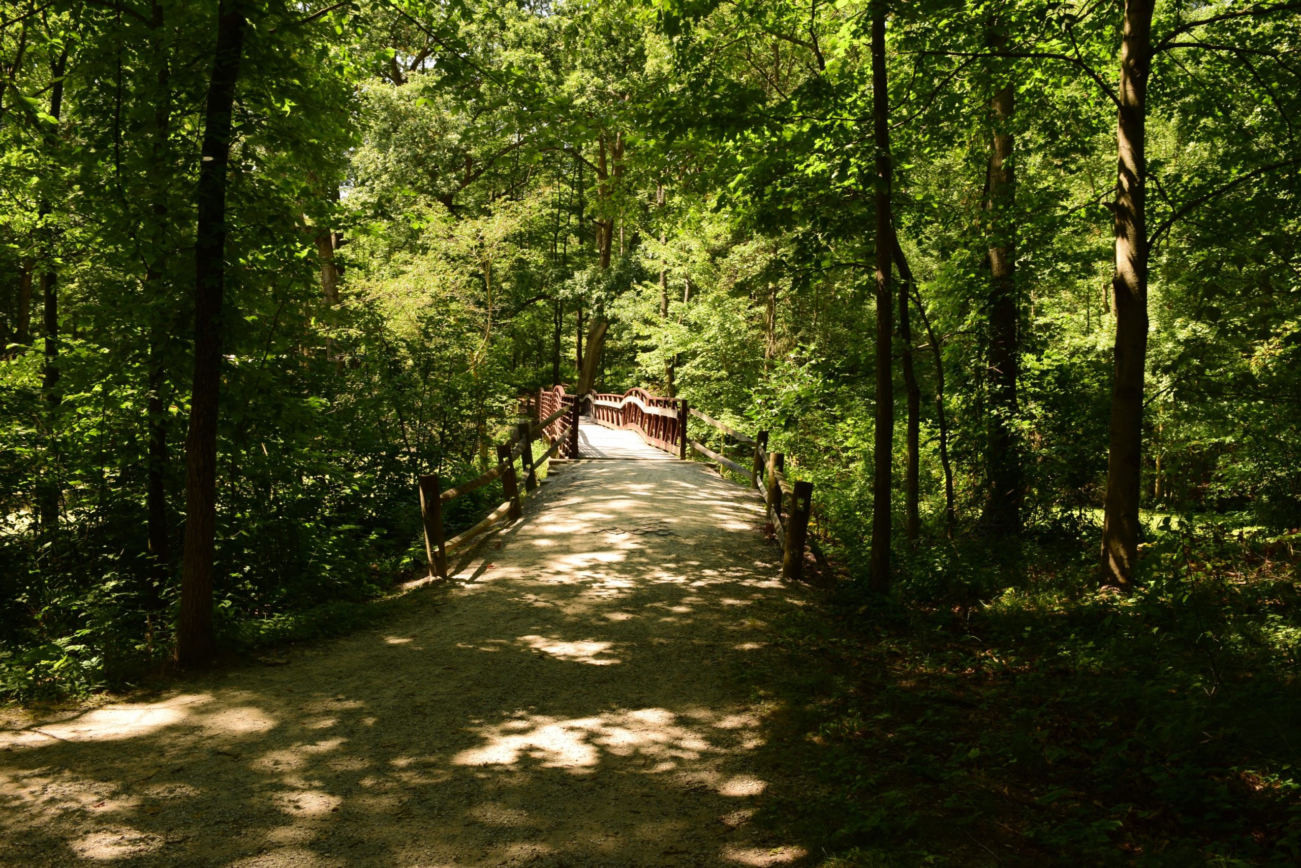 A tranquil forest pathway leading to a wooden bridge, surrounded by lush green trees and dappled sunlight filtering through the leaves. The path is gravel, with a rustic fence lining the sides, inviting visitors to explore the serene nature scene. Oak Openings -- Beach Ridge Singletrack Trail mountain bike trail.