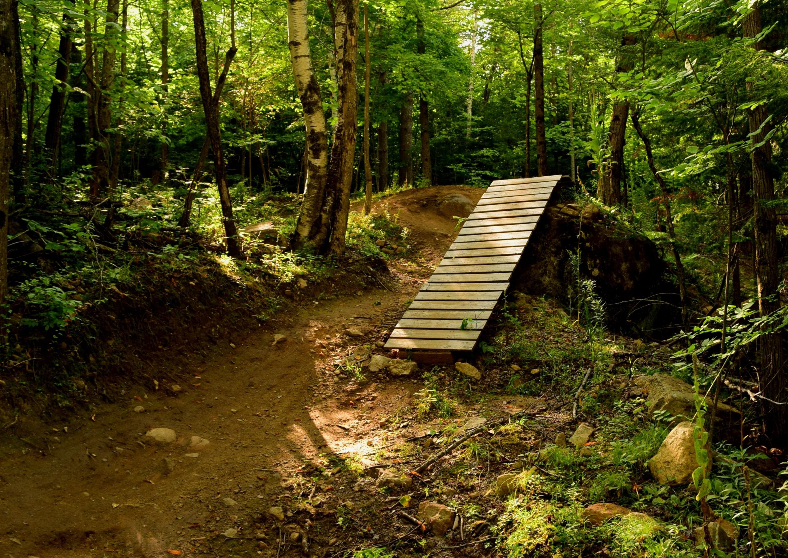 A wooden ramp leads over a rocky path in a lush green forest. Sunlight filters through the tree canopy, illuminating the surrounding foliage and creating dappled light on the dirt trail. The scene captures a serene and natural outdoor setting suitable for hiking or biking. Mount Pisgah Ski Area mountain bike trail.