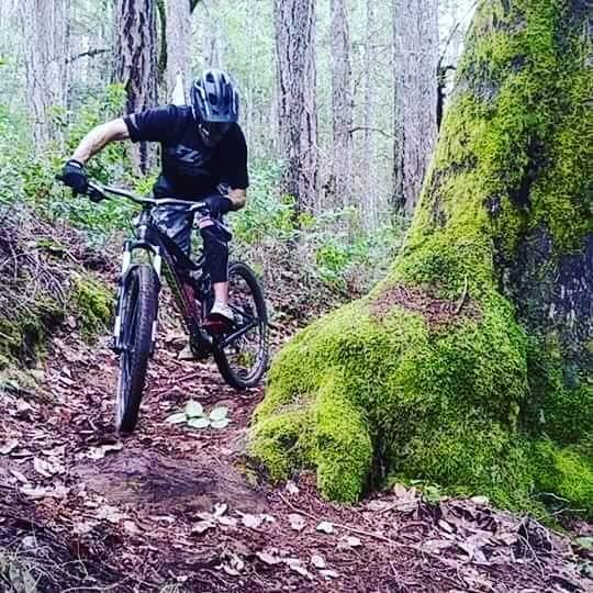 A person riding a mountain bike down a narrow, wooded trail, surrounded by tall trees and lush green moss. The cyclist is focused and wearing a helmet, with one foot off the pedal and the bike's front wheel slightly lifted, navigating around a large moss-covered tree trunk.