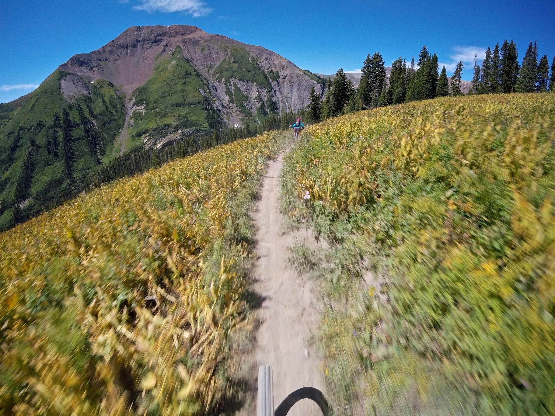 A mountain biker rides along a narrow dirt trail through a vibrant meadow of tall grasses and wildflowers, with a backdrop of steep green hills and a clear blue sky. Trail 401 mountain bike trail.
