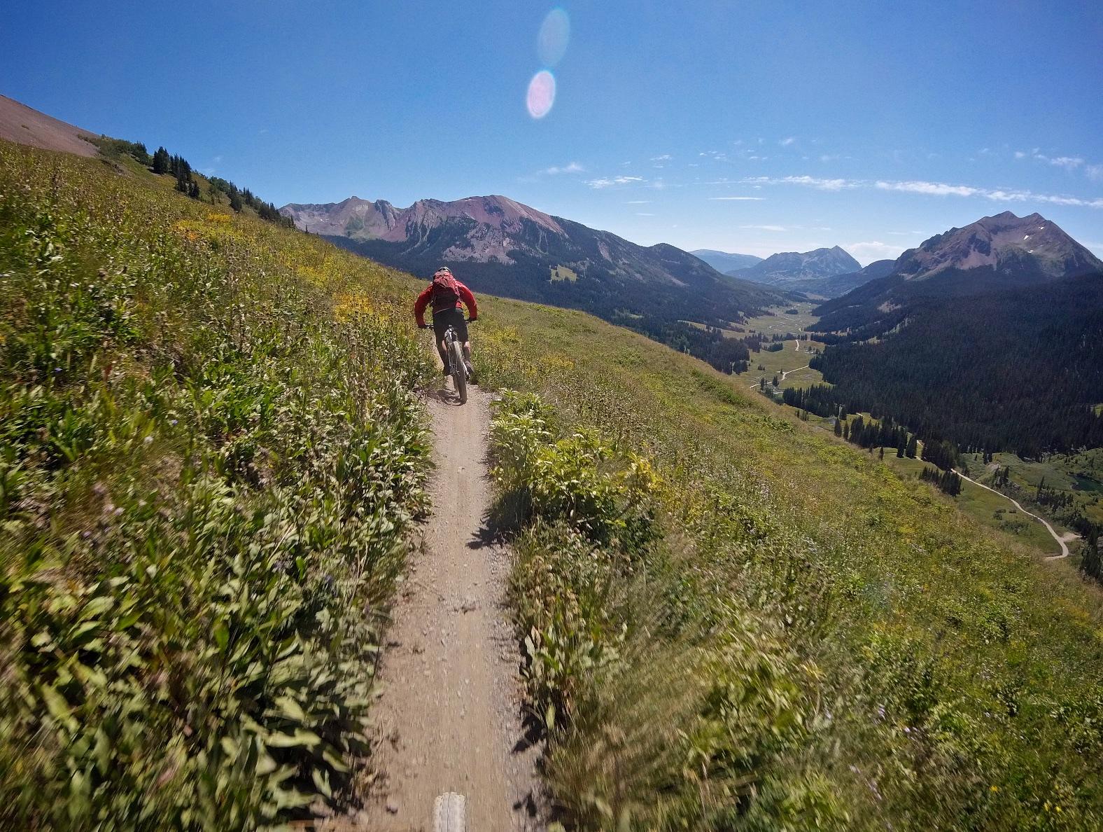 A mountain biker riding along a narrow dirt trail through lush green grass, surrounded by mountains under a clear blue sky. Trail 401 mountain bike trail.