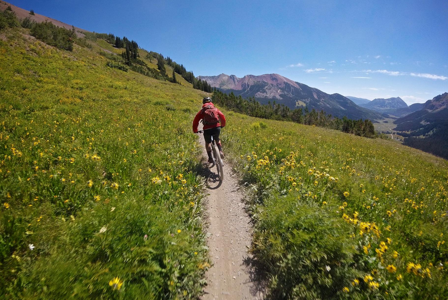 A person biking on a dirt trail surrounded by vibrant yellow wildflowers, with green hills and mountains in the background under a clear blue sky. Trail 401 mountain bike trail.