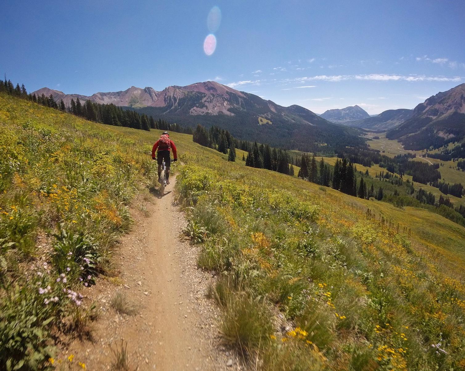 A mountain biker rides along a dirt path surrounded by vibrant wildflowers and green grass, with towering mountains in the background under a clear blue sky. Trail 401 mountain bike trail.