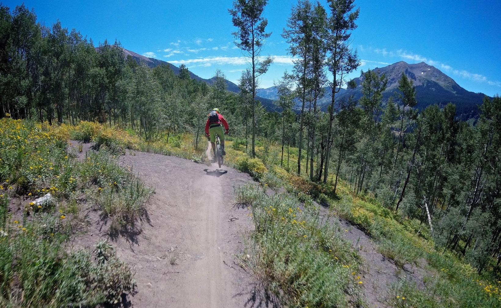 A mountain biker riding along a dirt trail through a lush green forest, with wildflowers and mountain peaks visible in the background under a clear blue sky. The cyclist is kicking up dust as they navigate a curve in the path. Trail 401 mountain bike trail.
