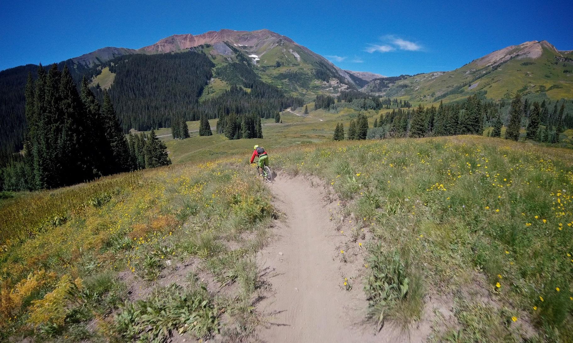 A mountain biker riding along a narrow dirt path through a vibrant meadow filled with wildflowers, surrounded by lush green trees and mountainous terrain under a clear blue sky. Trail 401 mountain bike trail.