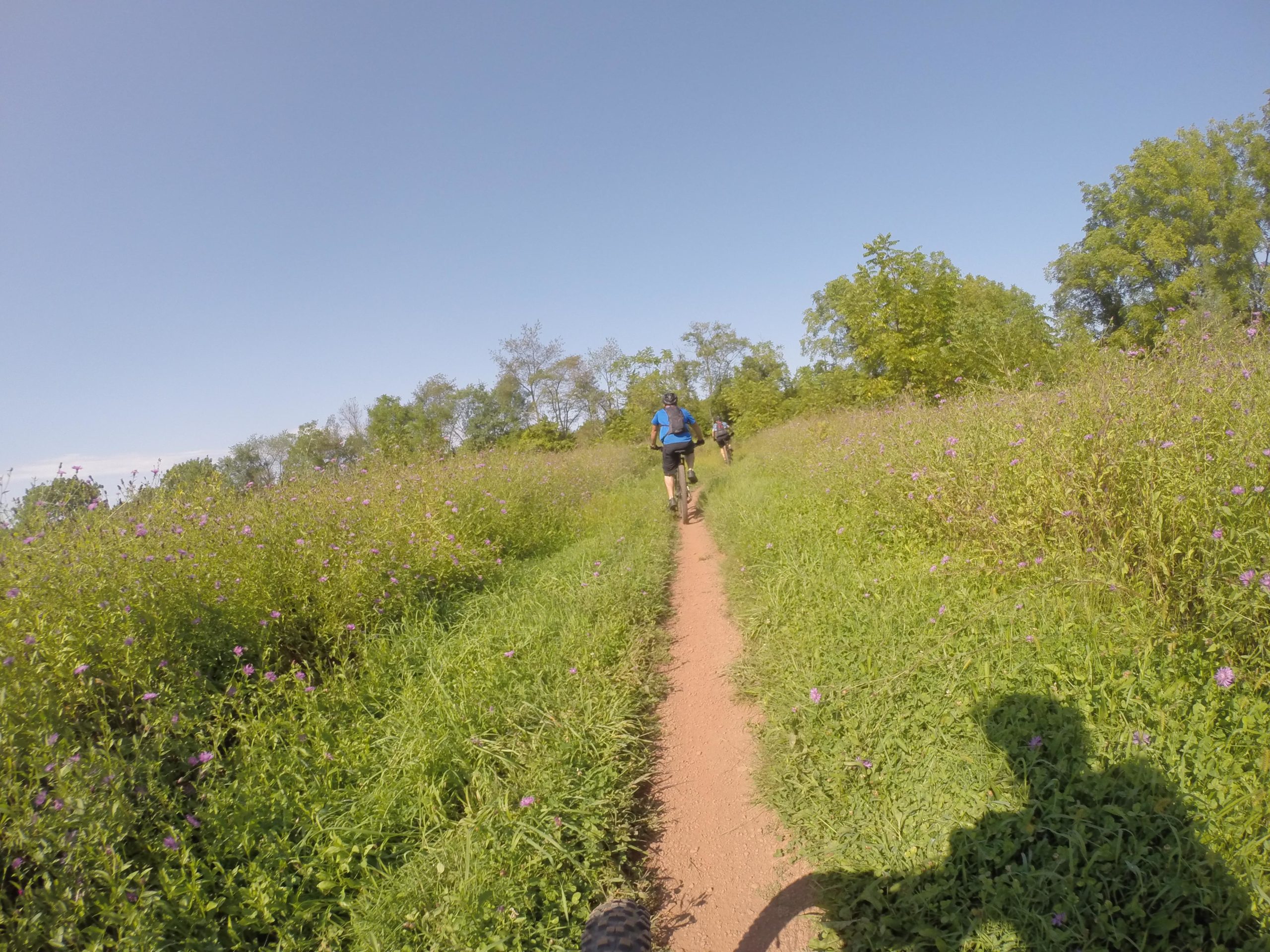 Two hikers walking along a narrow dirt path surrounded by lush green grass and colorful wildflowers on a sunny day. The sky is clear and blue, with trees visible in the background. A shadow of a person is in the foreground, suggesting the presence of a third individual nearby. Six Mile Run mountain bike trail.