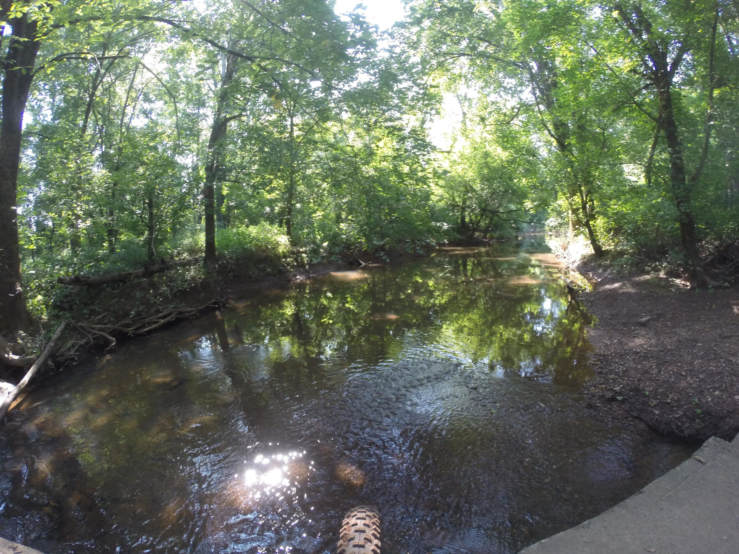 A serene view of a wooded area alongside a calm creek, with sunlight filtering through the lush green trees, creating reflections on the water's surface. The scene captures the tranquility of nature, highlighting the rich foliage and peaceful ambiance of the setting. Six Mile Run mountain bike trail.