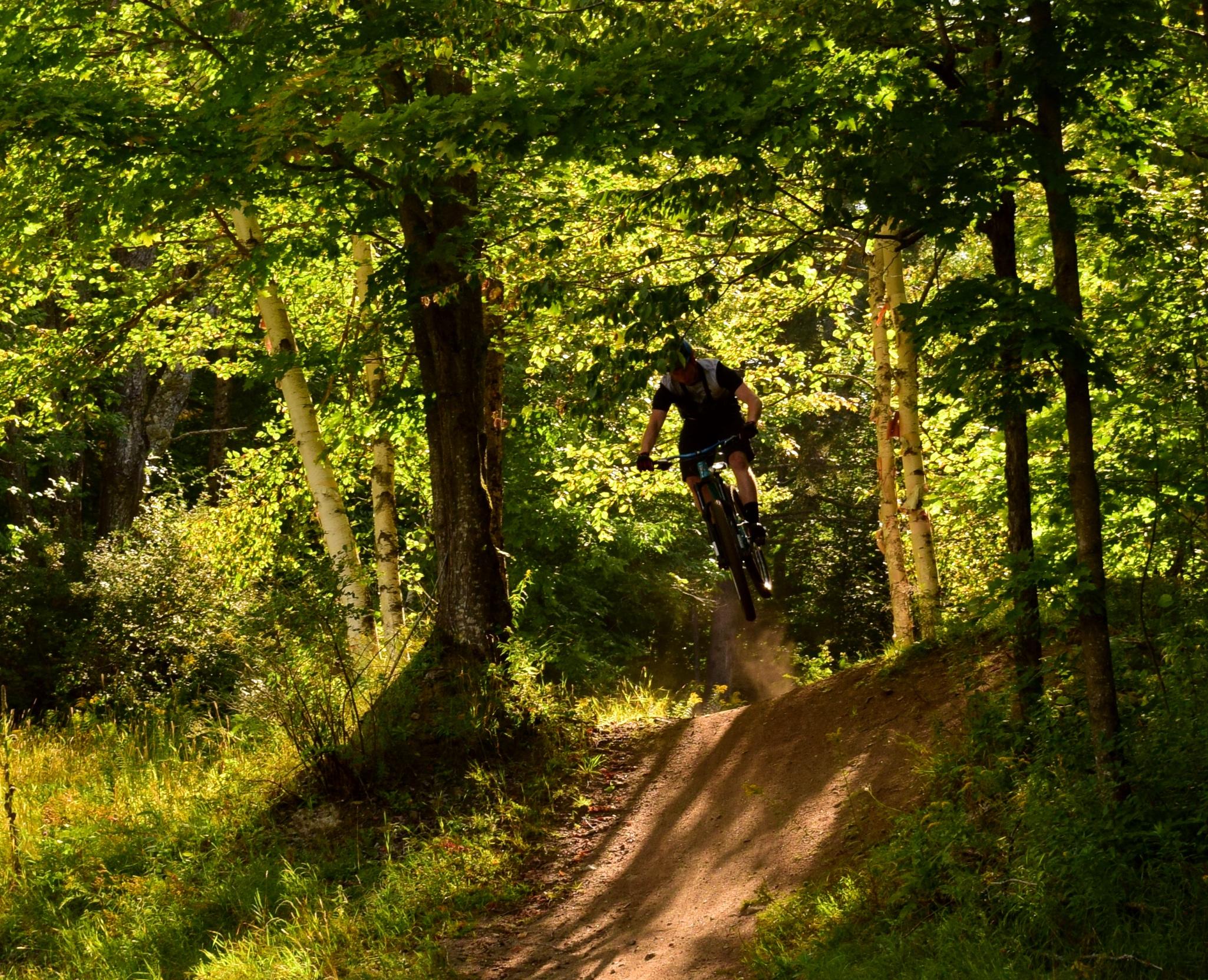 A mountain biker in mid-air jumps off a dirt ramp surrounded by lush green trees and sunlight filtering through the foliage. Dust kicks up from the trail as the rider enjoys the thrill of biking in a forested setting. Mount Pisgah Ski Area mountain bike trail.