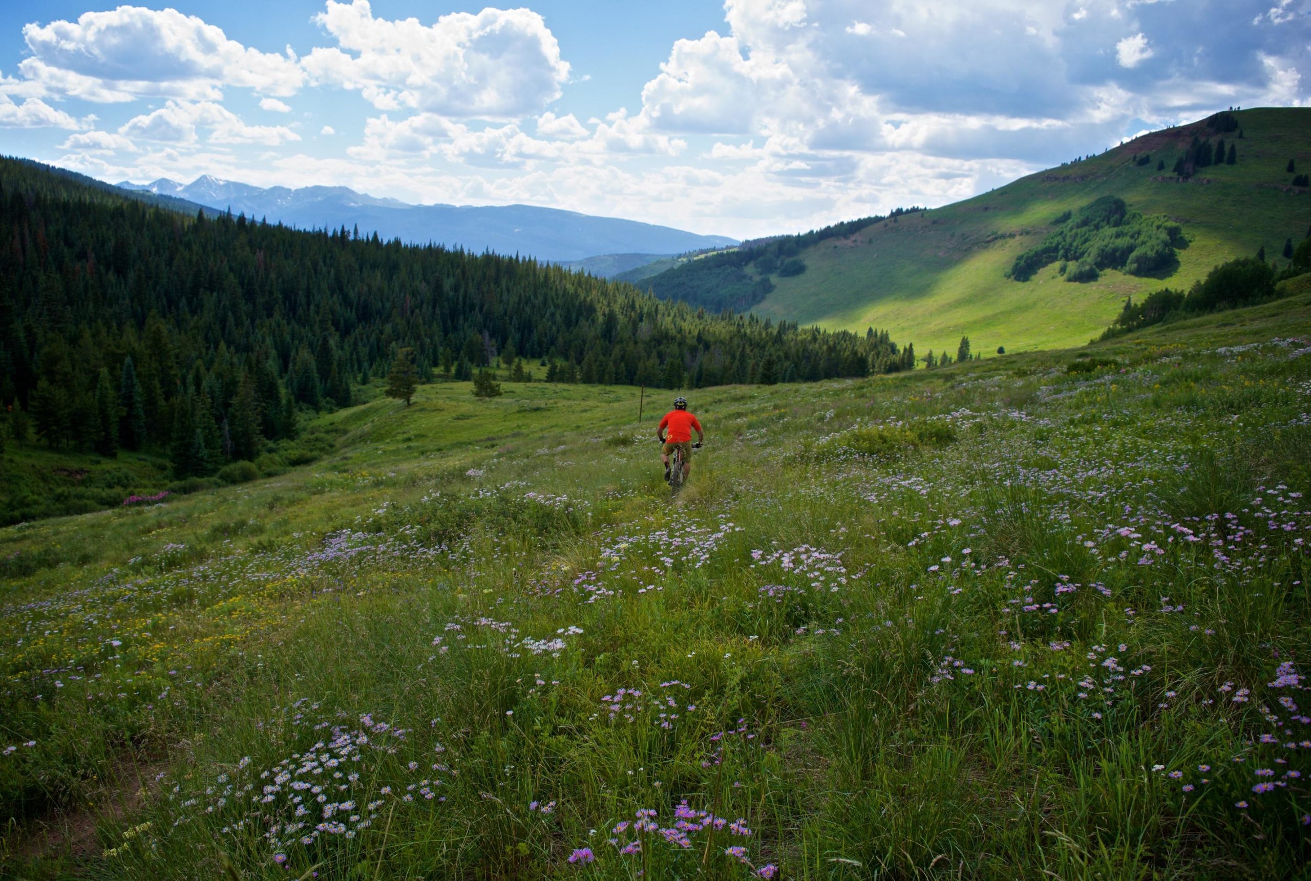 A person wearing a bright orange shirt is walking through a lush green meadow filled with wildflowers. In the background, there are rolling hills and a dense evergreen forest, with towering mountains visible under a partly cloudy sky. The scene conveys a sense of tranquility and the beauty of nature. Two Elk via Vail Pass mountain bike trail.