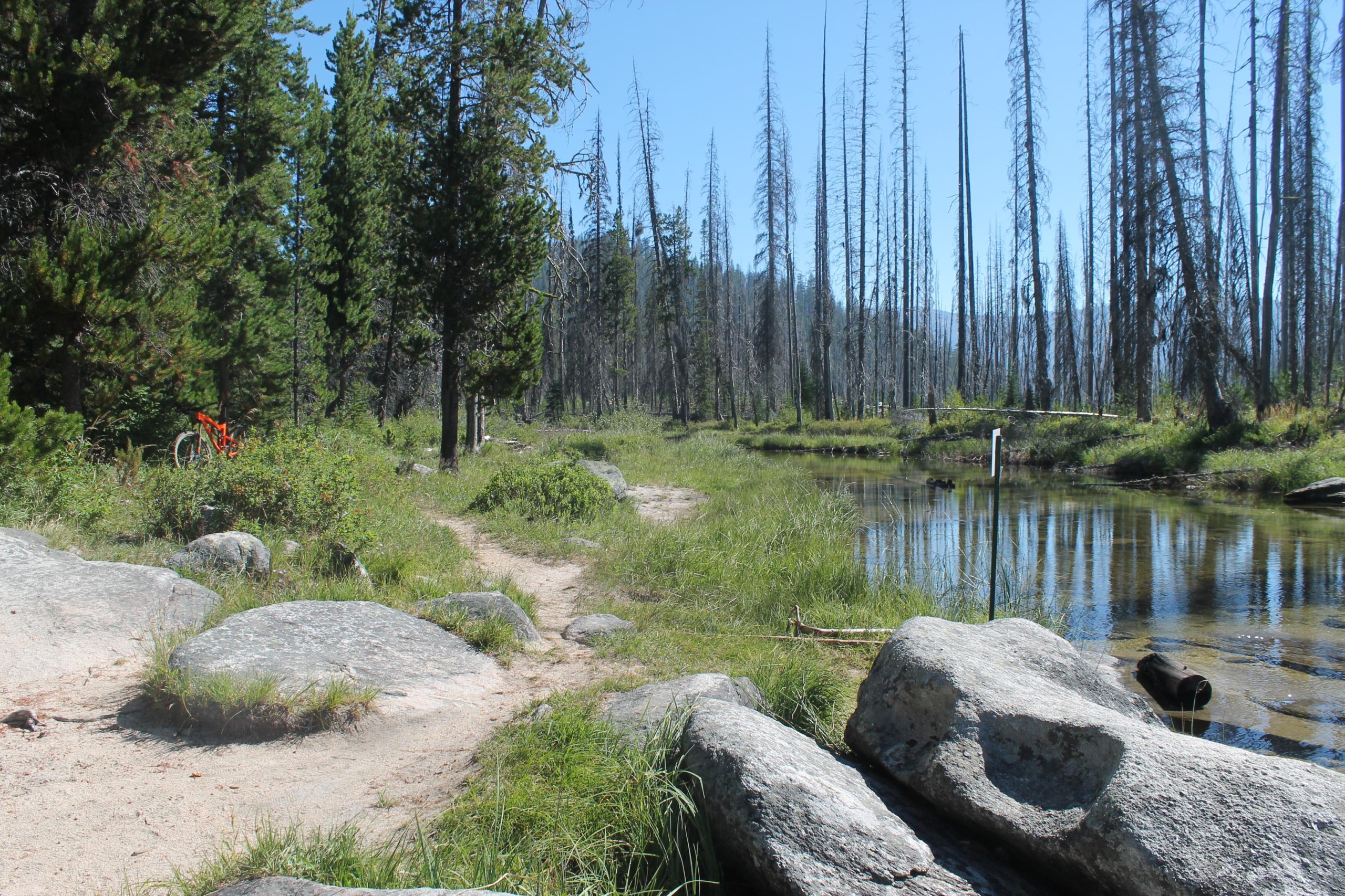 A serene outdoor scene featuring a winding dirt path alongside a calm body of water. The landscape is surrounded by lush green grass and large boulders, with tall trees, some of which are dead, standing in the background under a clear blue sky. An orange bicycle is visible to the left, adding a pop of color to the natural setting. Loon Lake Trail mountain bike trail.