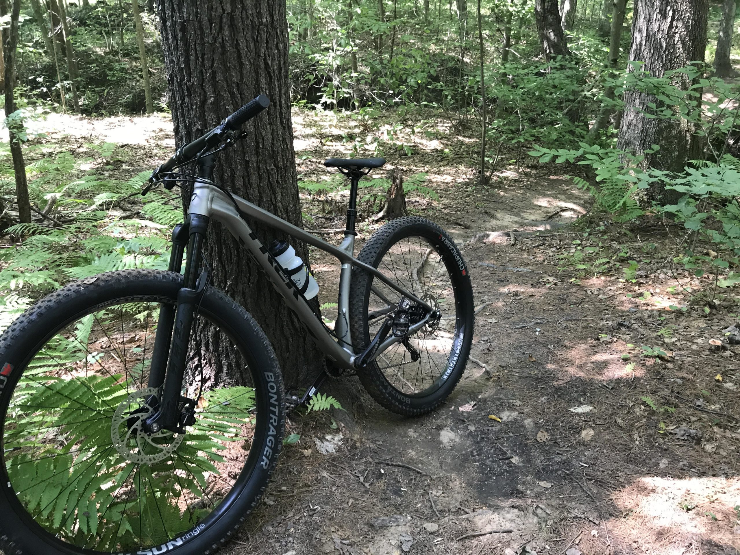 A mountain bike leaning against a tree in a wooded area, surrounded by ferns and dirt trails. Sunlight filters through the trees, illuminating parts of the forest floor. Luther Forest mountain bike trail.