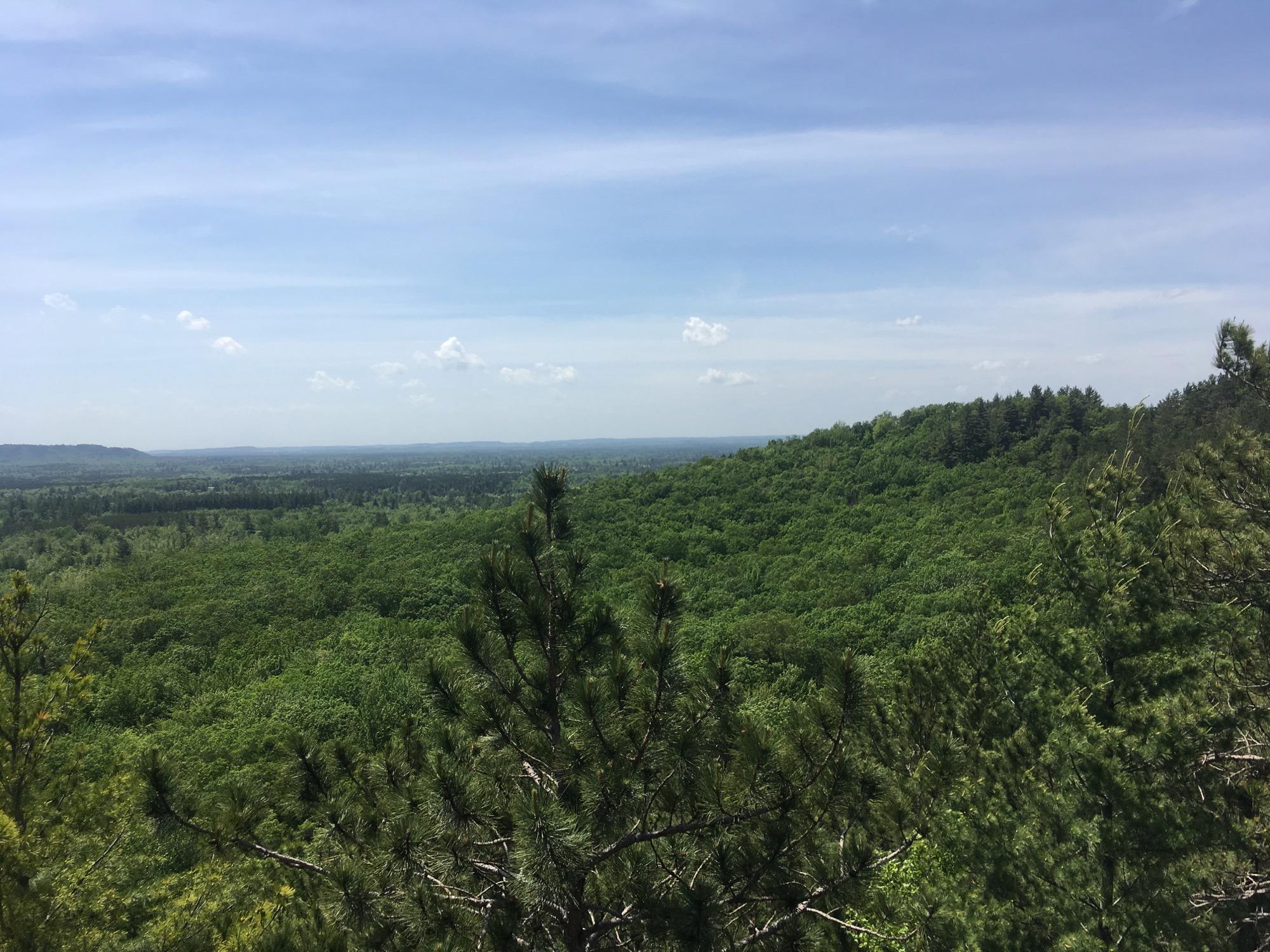 A panoramic view of a lush green landscape with rolling hills and a clear blue sky, featuring a mix of coniferous and deciduous trees. The foreground includes several evergreen branches, while the expansive greenery stretches far into the distance, under a partly cloudy sky. Levis Mounds mountain bike trail.