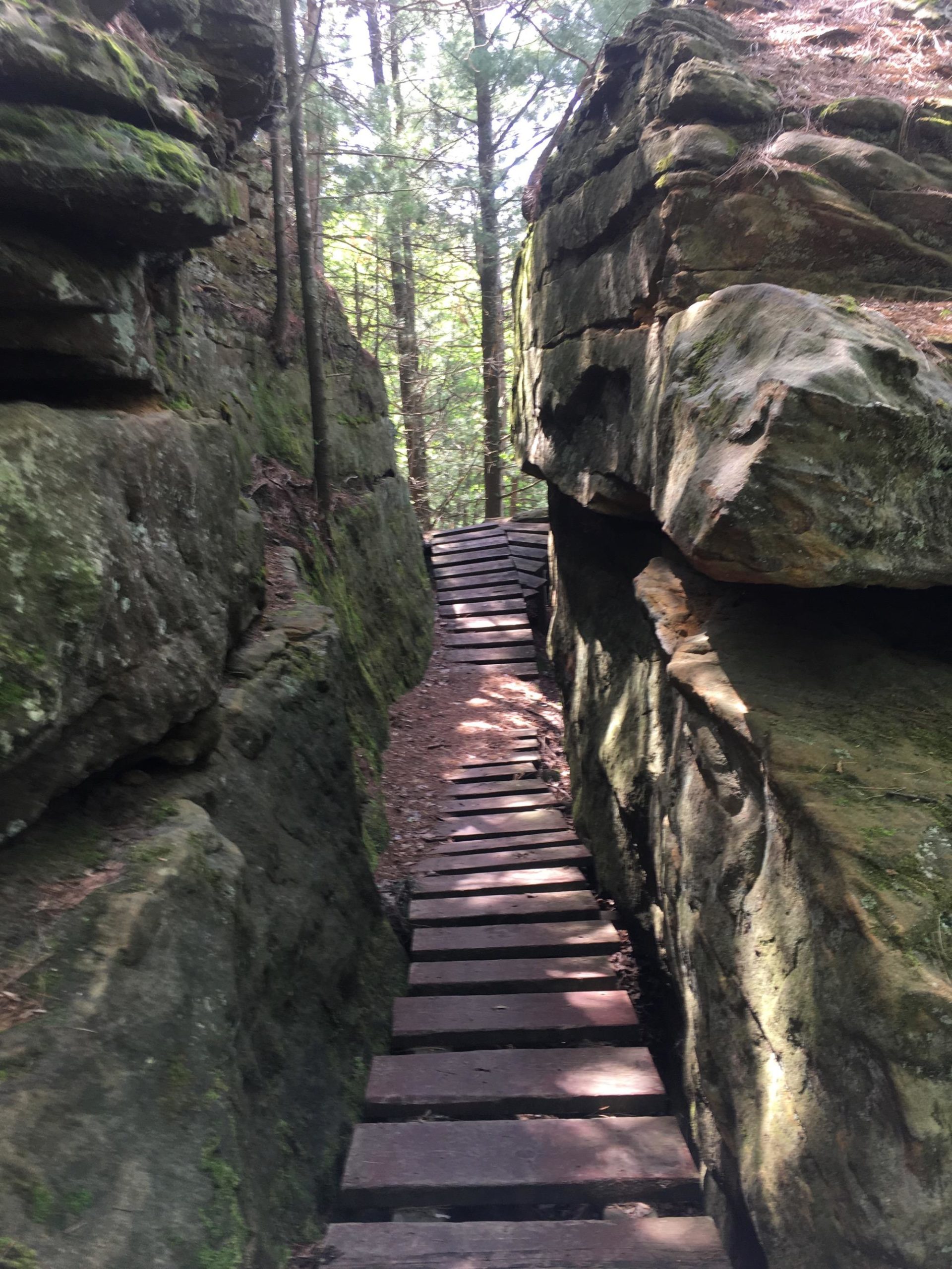 A narrow wooden walkway leads through steep rocky walls in a forested area, surrounded by tall trees and dappled sunlight. The rock formations are moss-covered, creating a natural and serene atmosphere. Levis Mounds mountain bike trail.