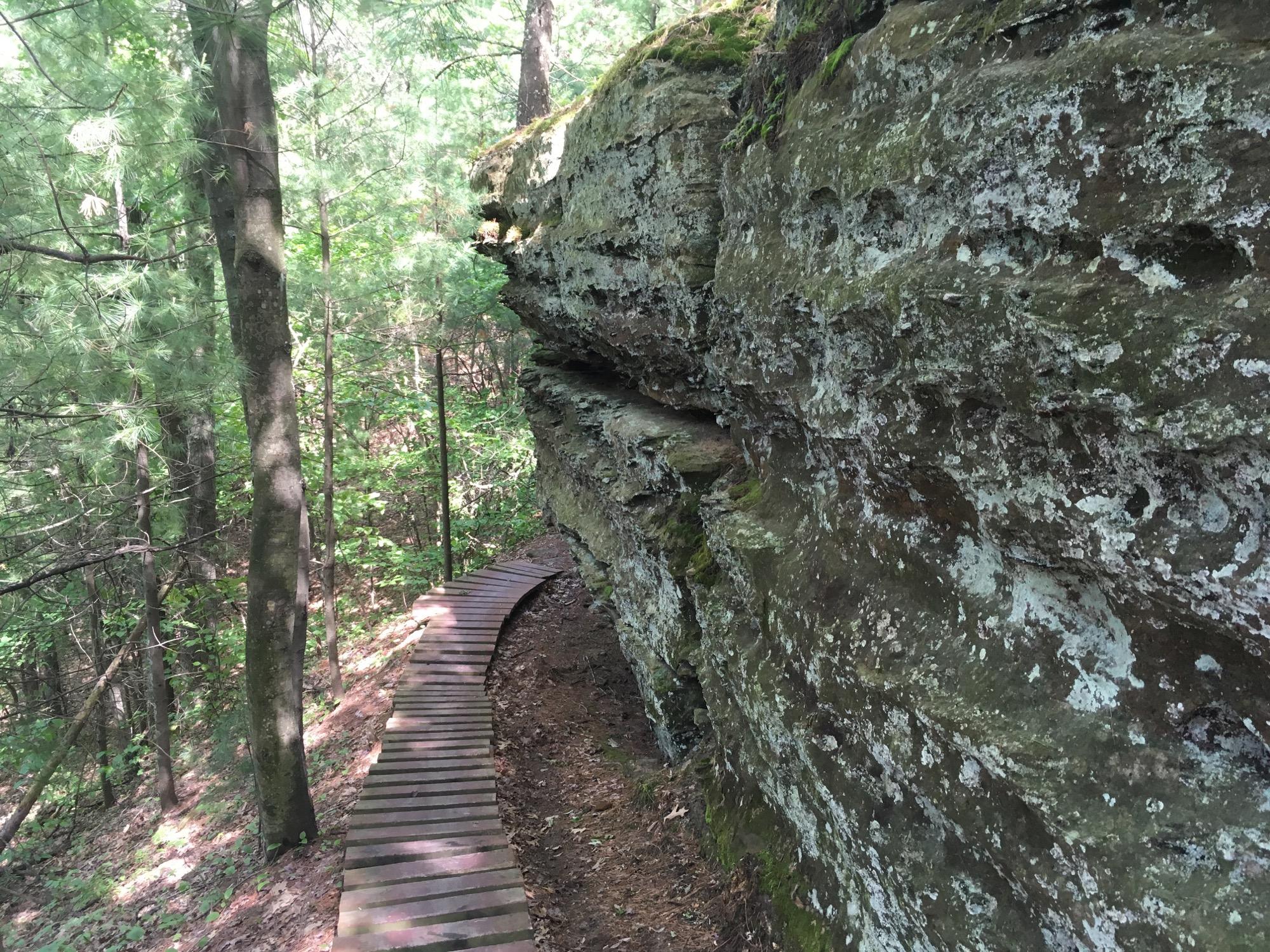 A winding wooden walkway curves along a rocky cliff in a lush forest, surrounded by tall trees and green foliage. The cliff features textured rock with moss and lichen, offering a natural, serene atmosphere. Levis Mounds mountain bike trail.
