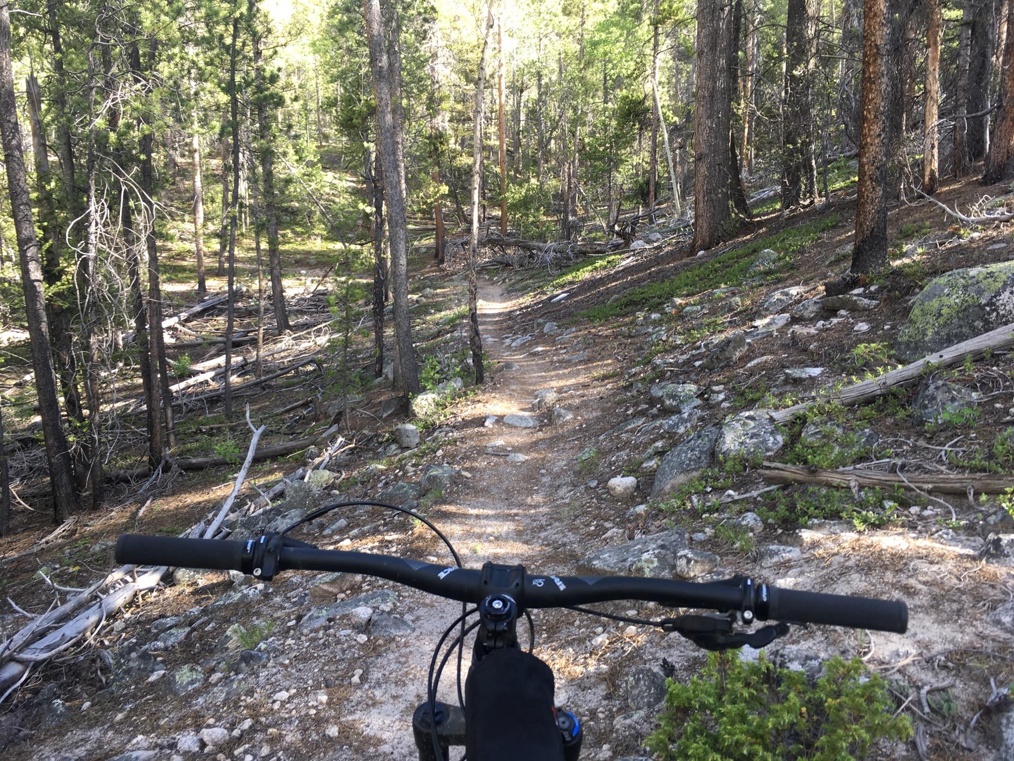 A view of a mountain bike trail through a forest, with the handlebars of a bike in the foreground. The path is narrow and winding, surrounded by trees and scattered rocks and fallen branches. Sunlight filters through the foliage, illuminating the greenery and creating a peaceful outdoor scene. Colorado Trail: Mt. Shavano thd to Chalk Creek thd mountain bike trail.