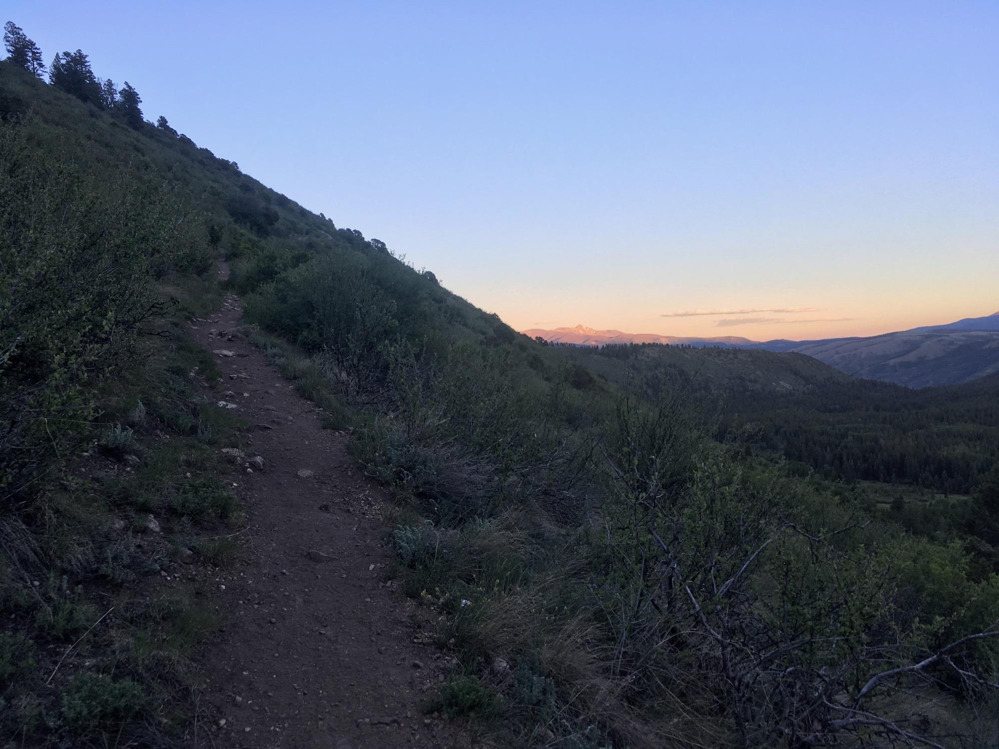 A winding dirt path leads through lush green vegetation up a hillside, with mountains in the distance under a clear sky at dusk. The soft light of sunset casts a warm glow on the landscape. Colorado Trail: Hwy 50 to Mt. Shavano Trailhead mountain bike trail.