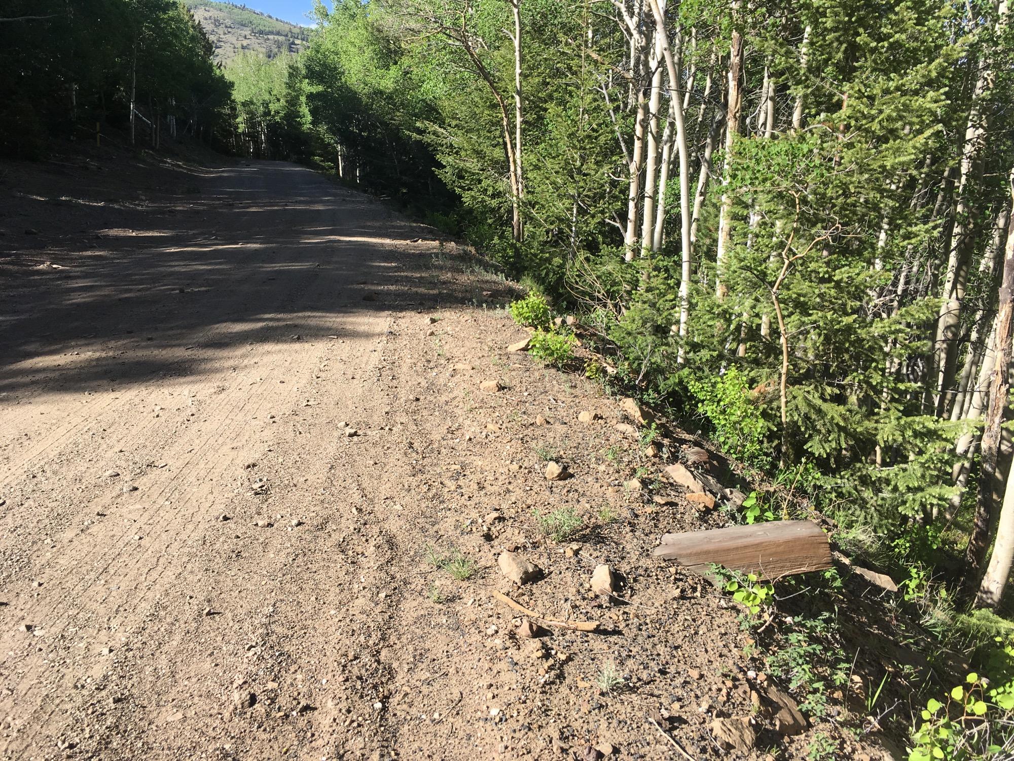A dirt road surrounded by vegetation, with trees on both sides and rocky terrain. The path shows visible tire tracks and stones, leading into a forested area with sunlight filtering through the leaves. Marshall Pass Road / #200 / #203 / #243 mountain bike trail.